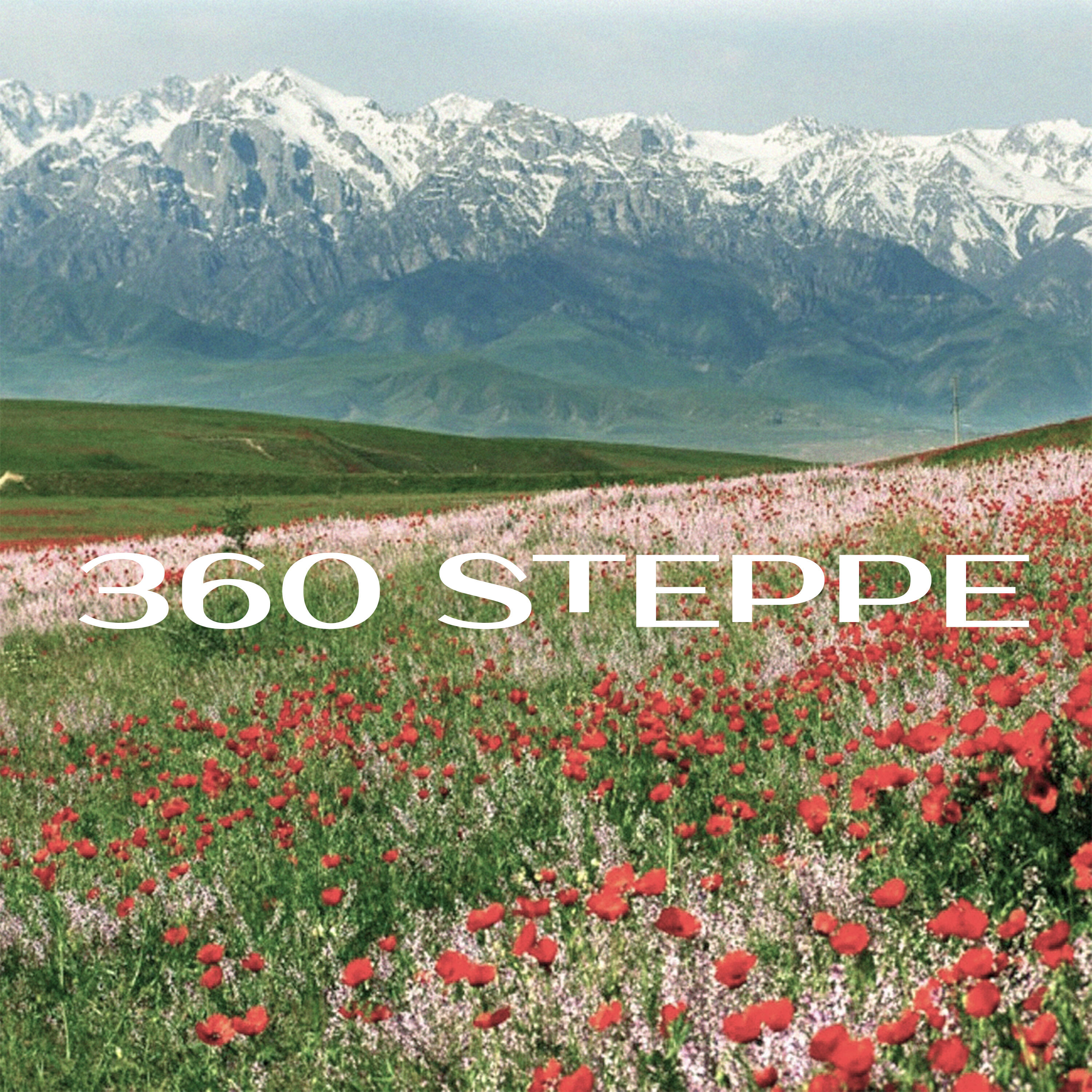 Релиз 360 steppe