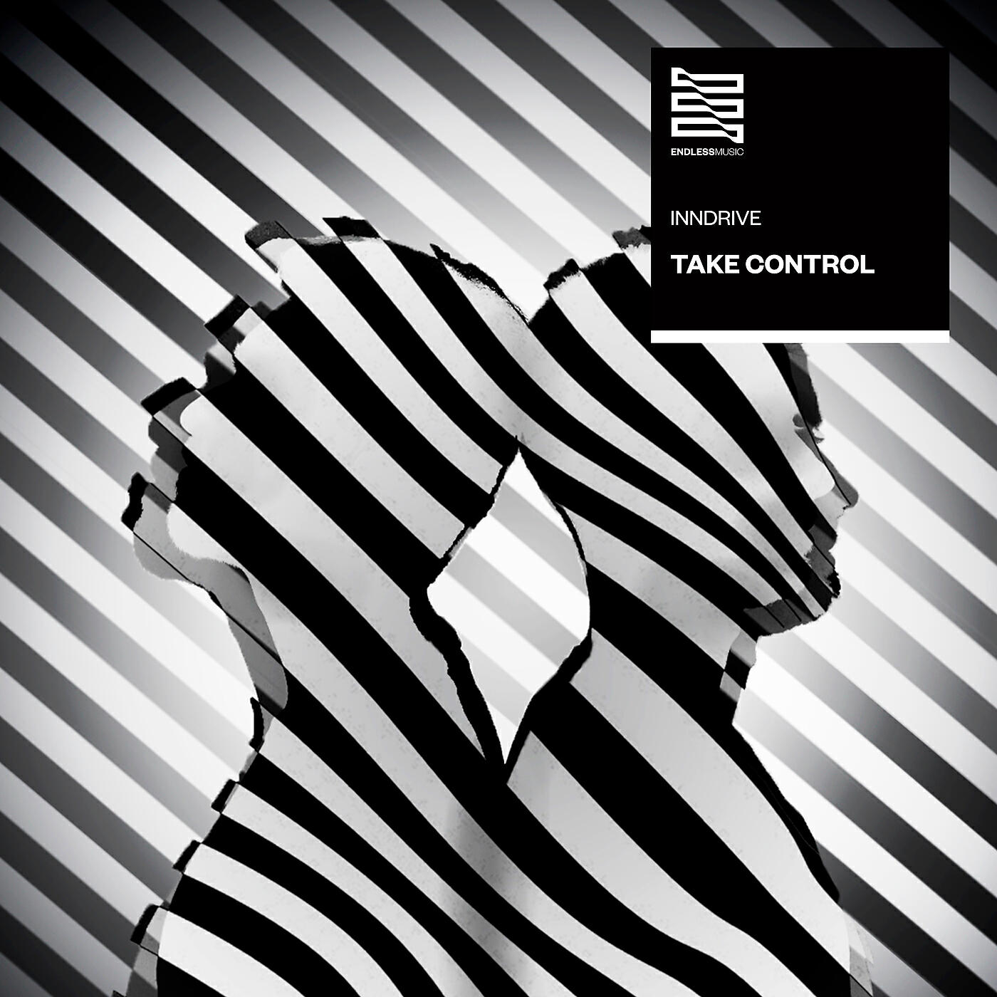 Постер альбома Take Control