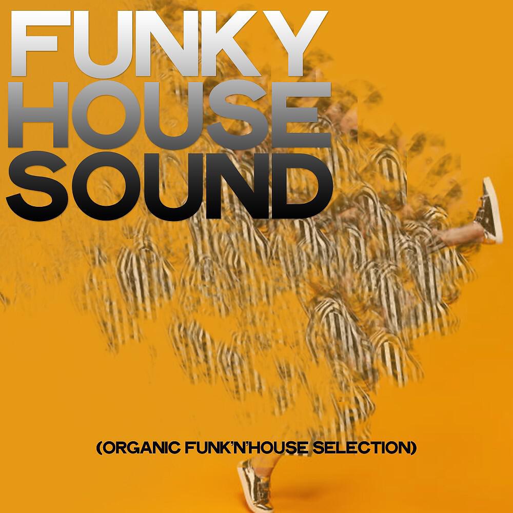 Релиз Funky House Sound (Organic Funk'n'house Selection)