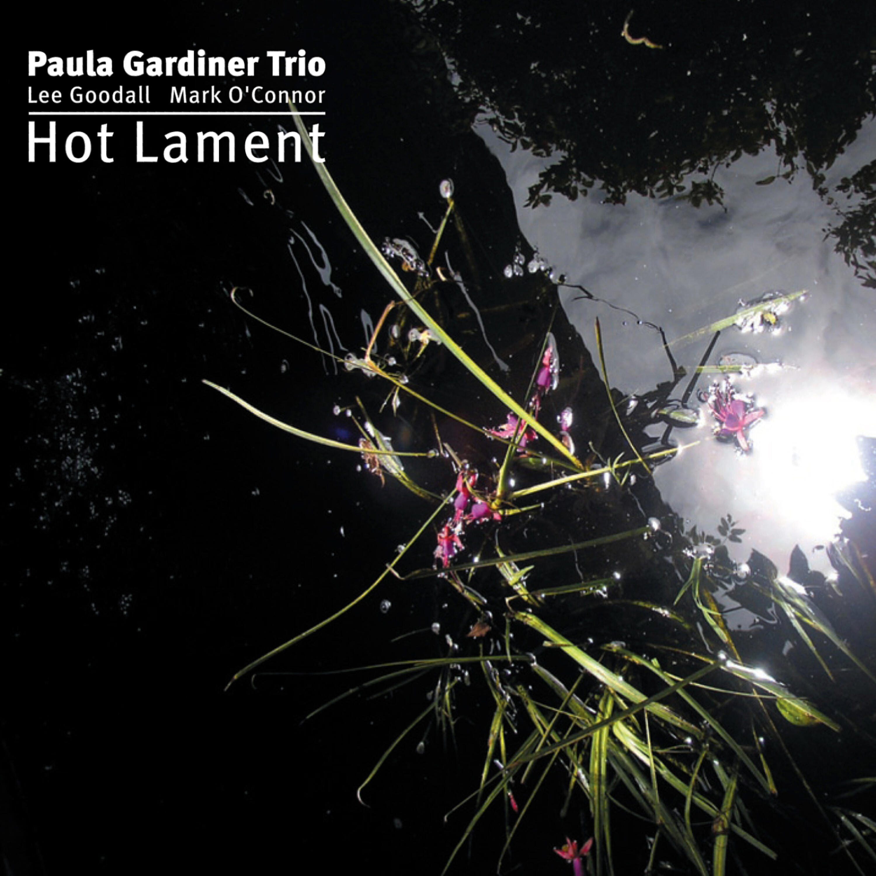 Paula Gardiner Trio