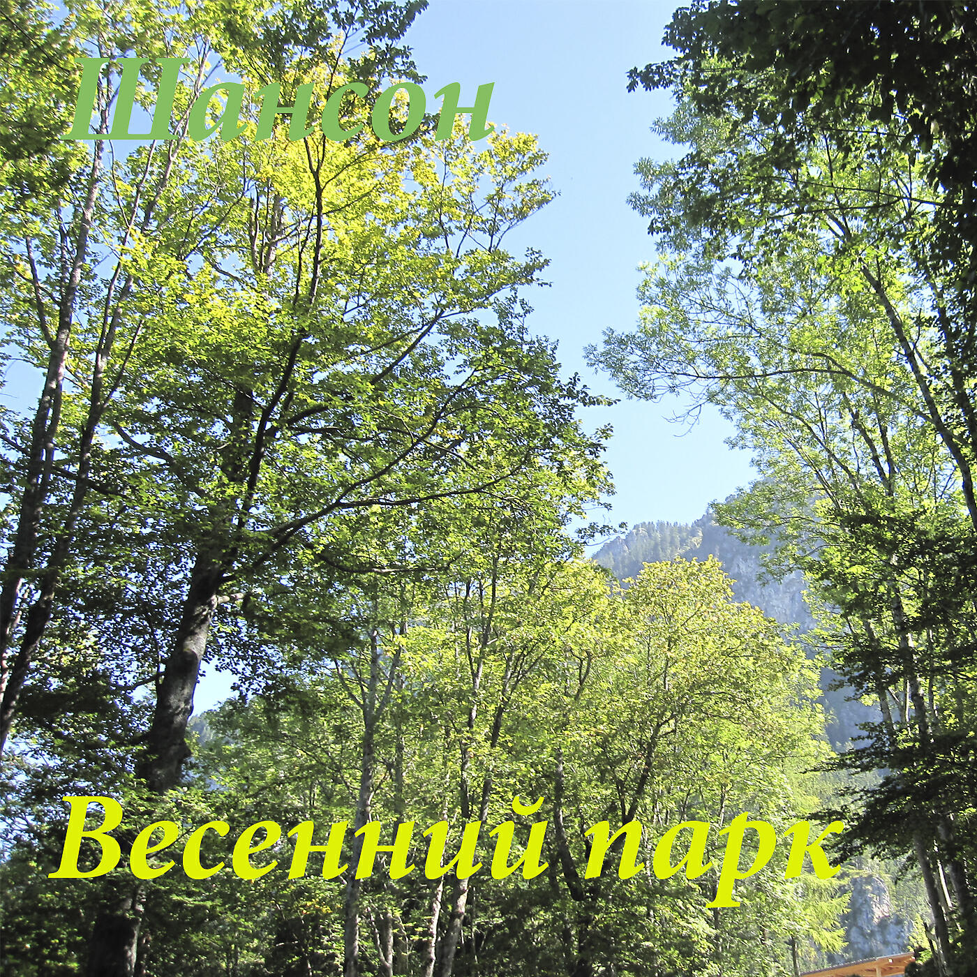 Трек Белая черёмуха