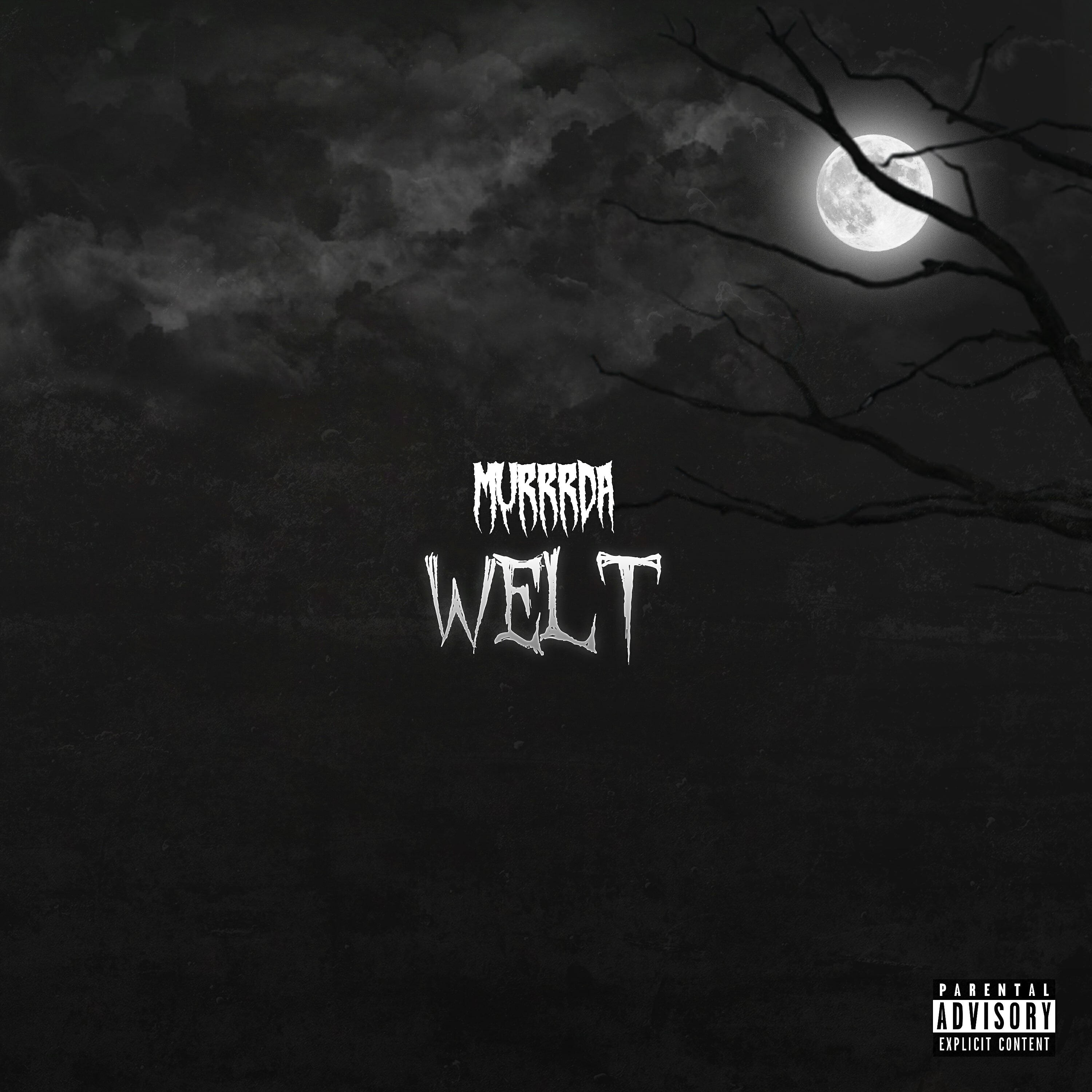 Релиз Welt