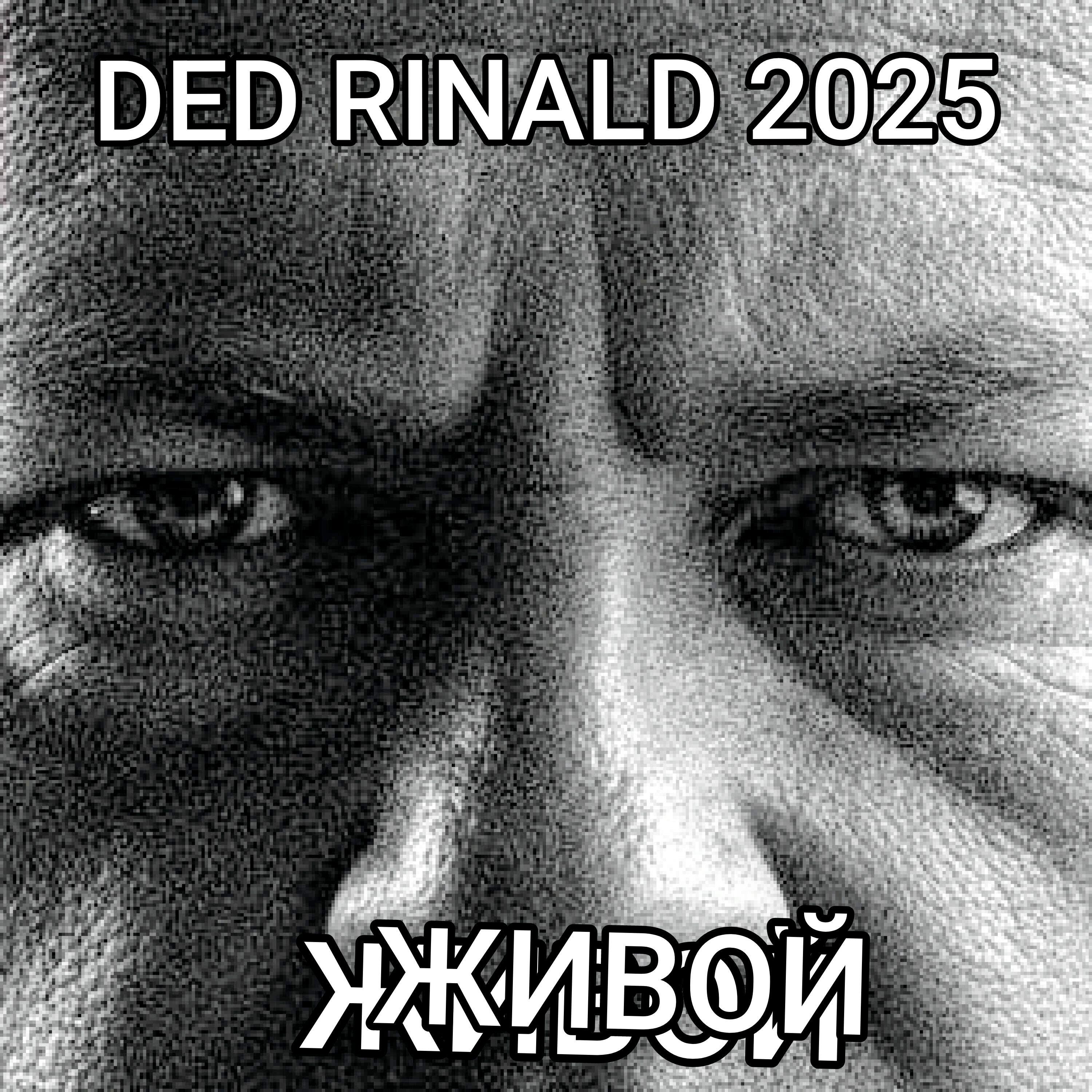 Релиз DED RINALD