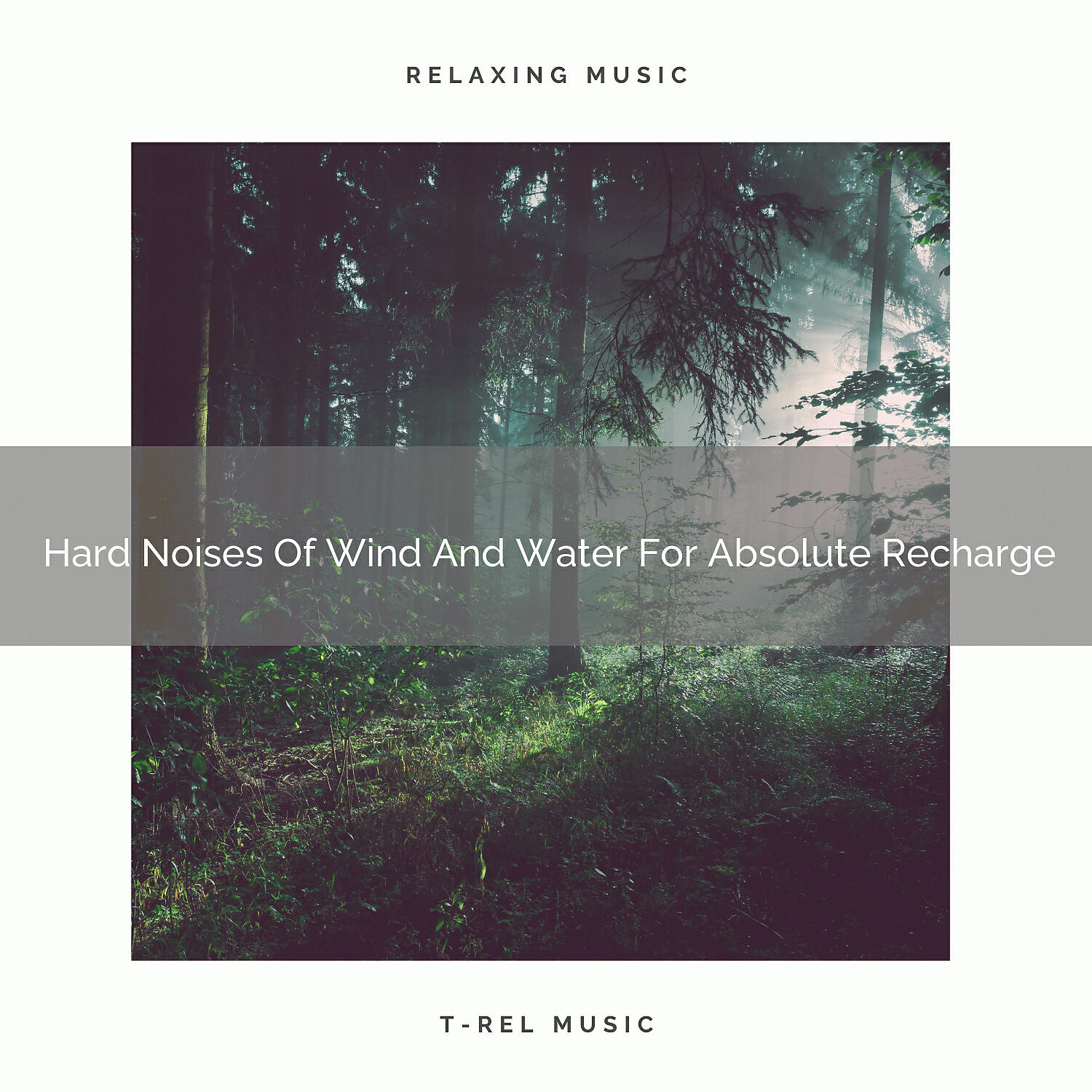Релиз Hard Noises Of Wind And Water For Absolute Recharge