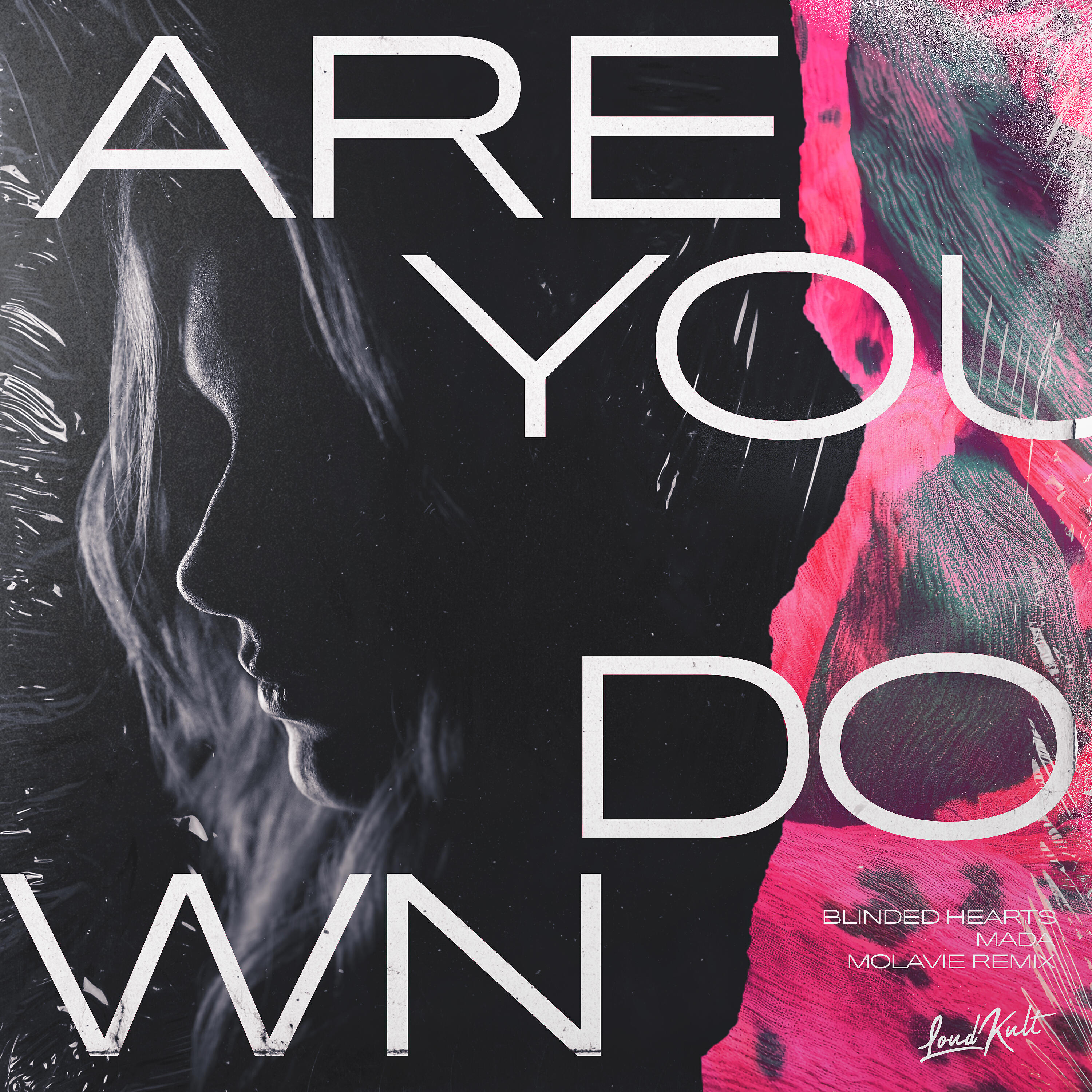 Релиз Are You Down (Molavie Remix)