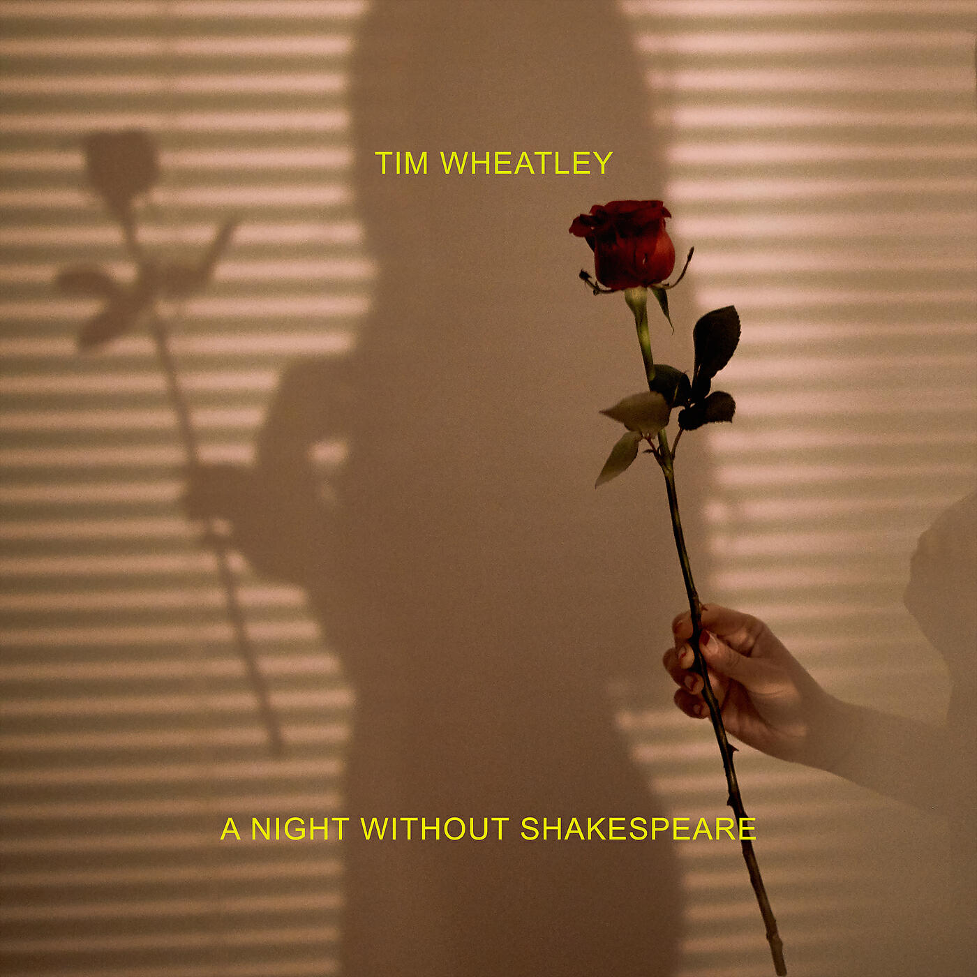 Релиз A Night Without Shakespeare