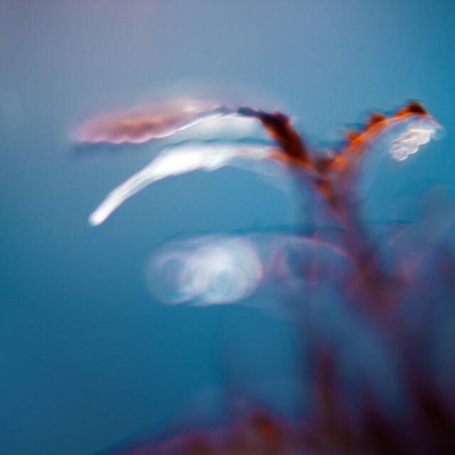 Релиз Places I've seen