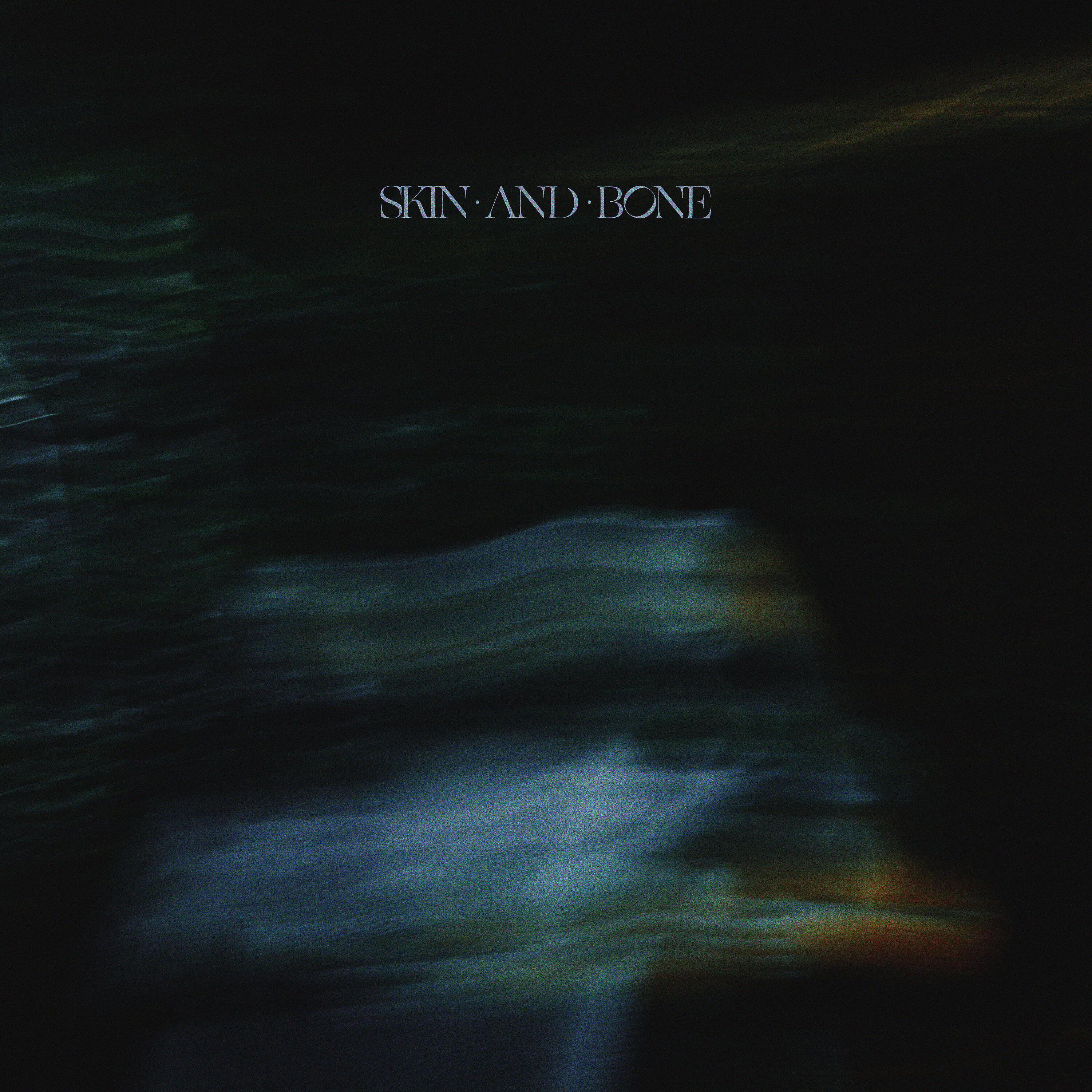 Релиз Skin And Bone