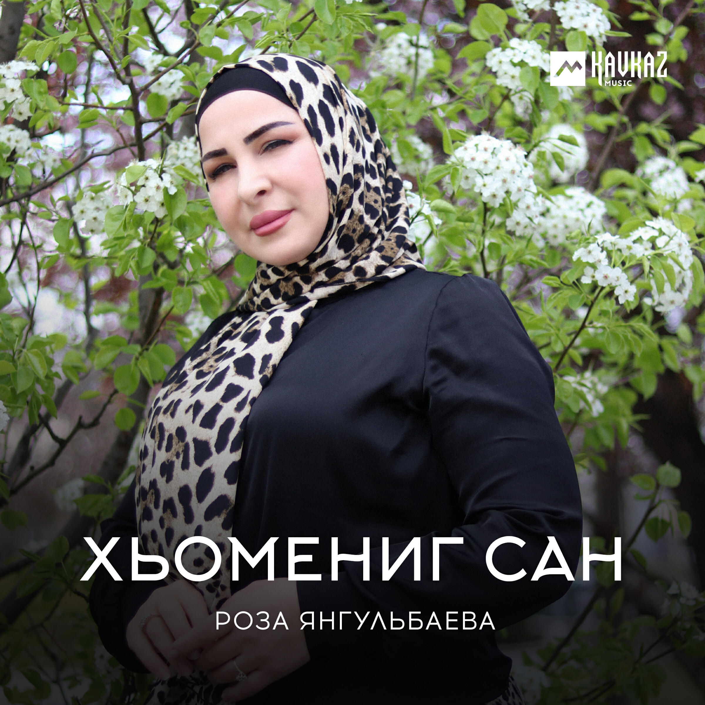 Постер альбома Хьомениг сан