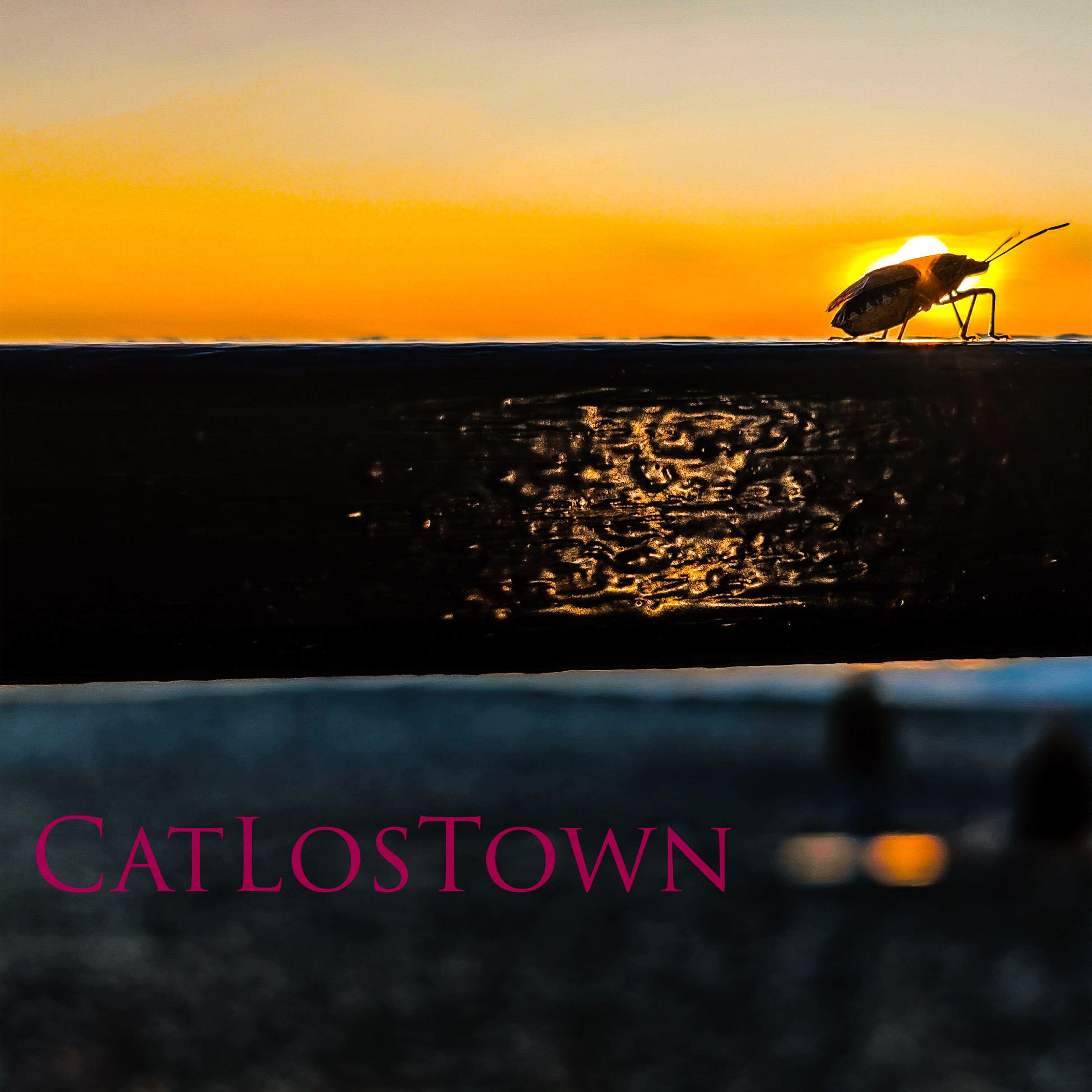 Релиз CATLOSTOWN