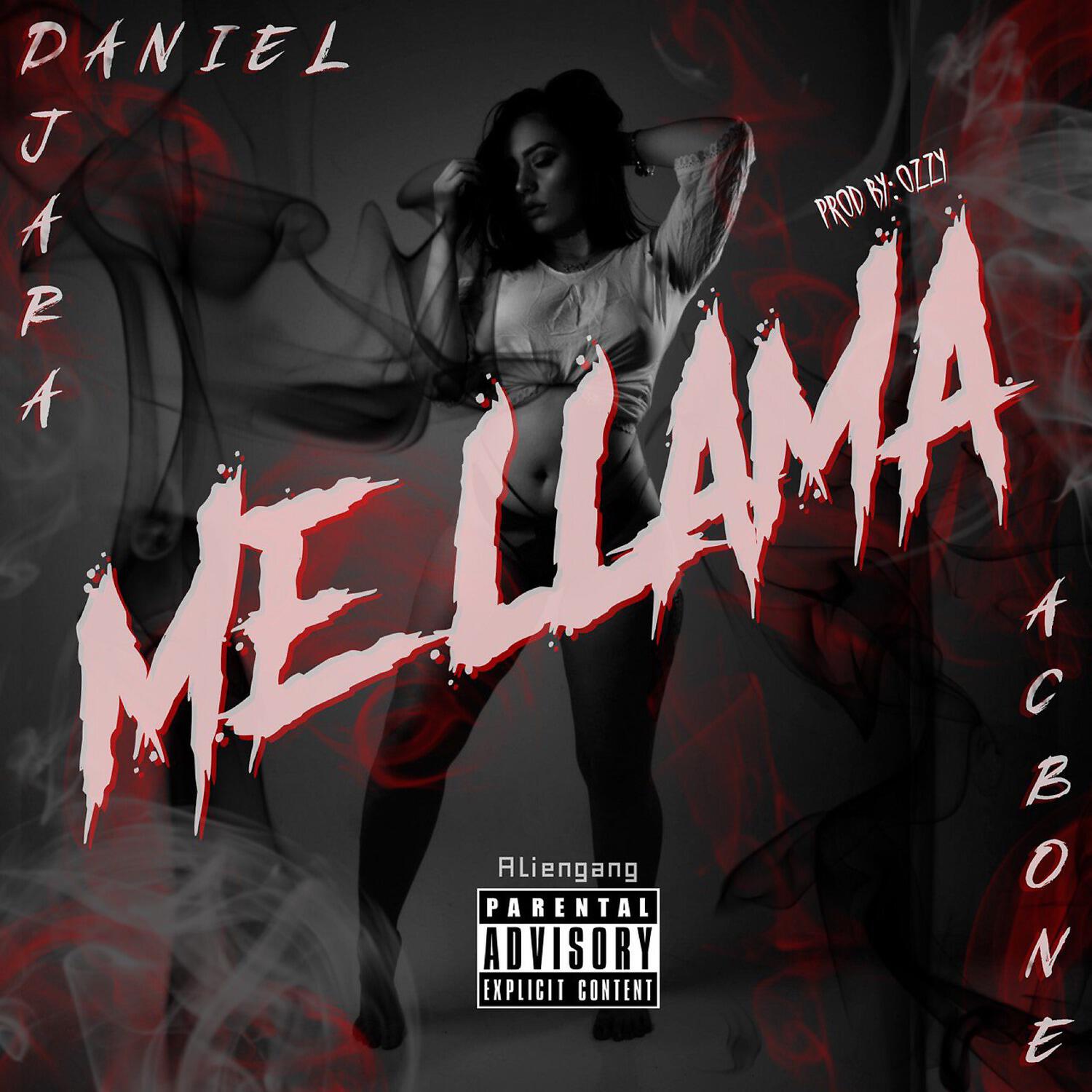 Релиз Me Llama