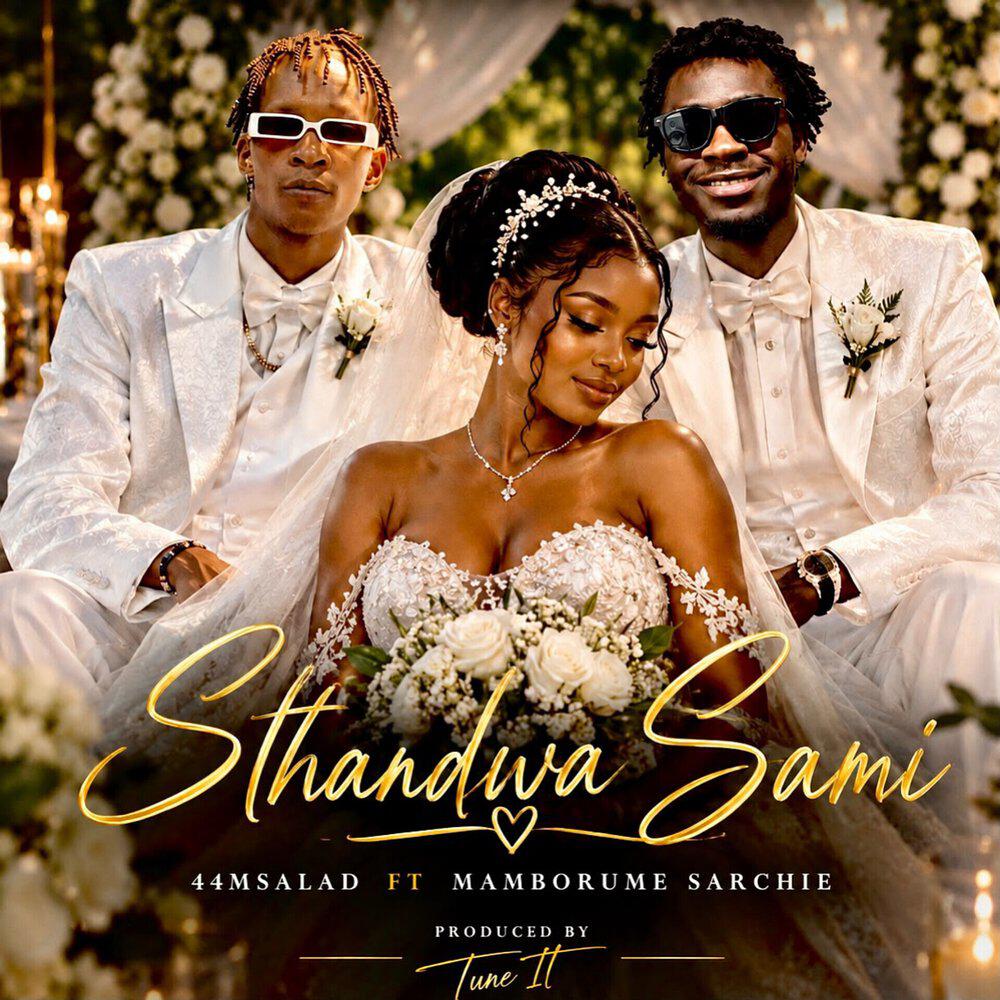 Релиз Sthandwasami