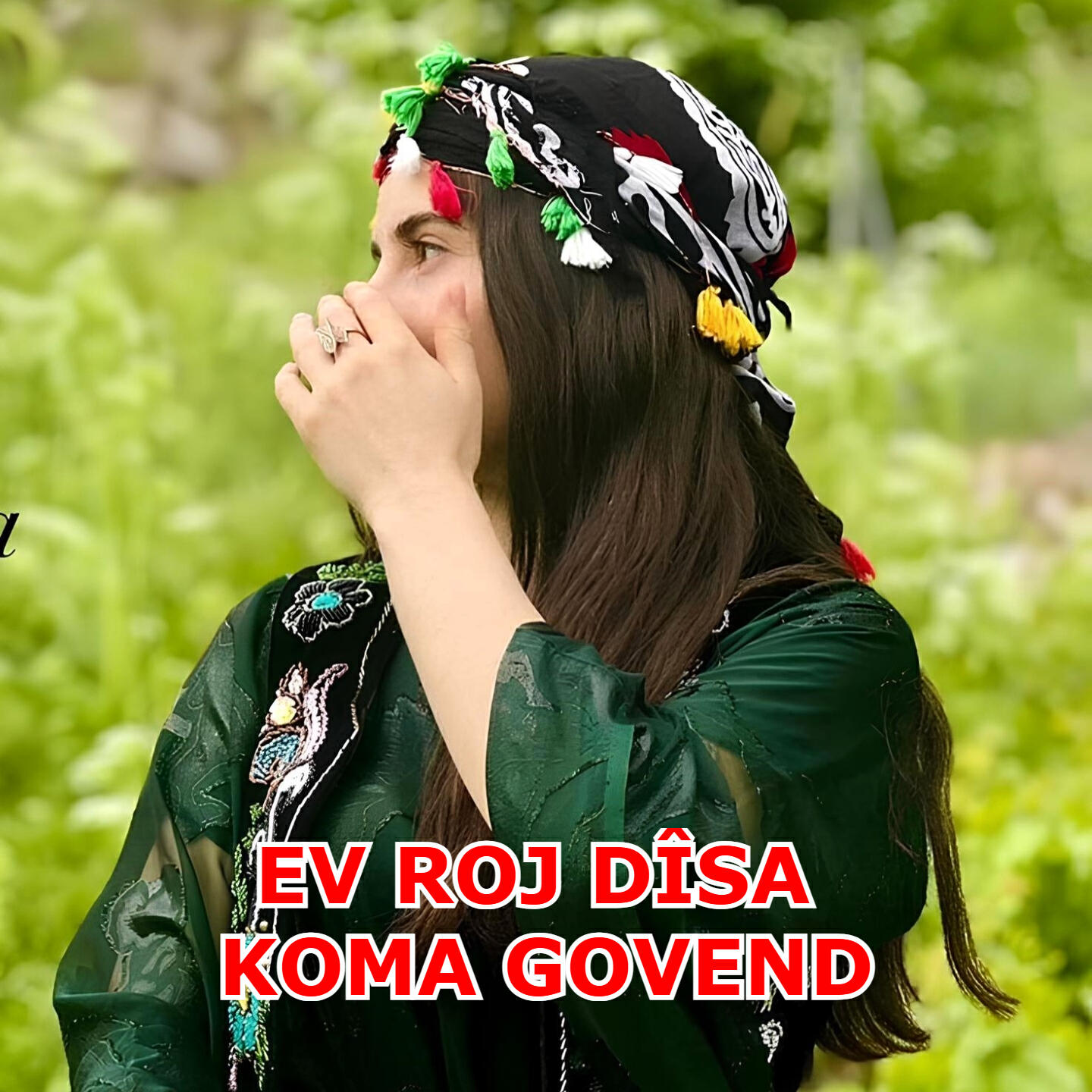 Релиз Ev Roj Dîsa