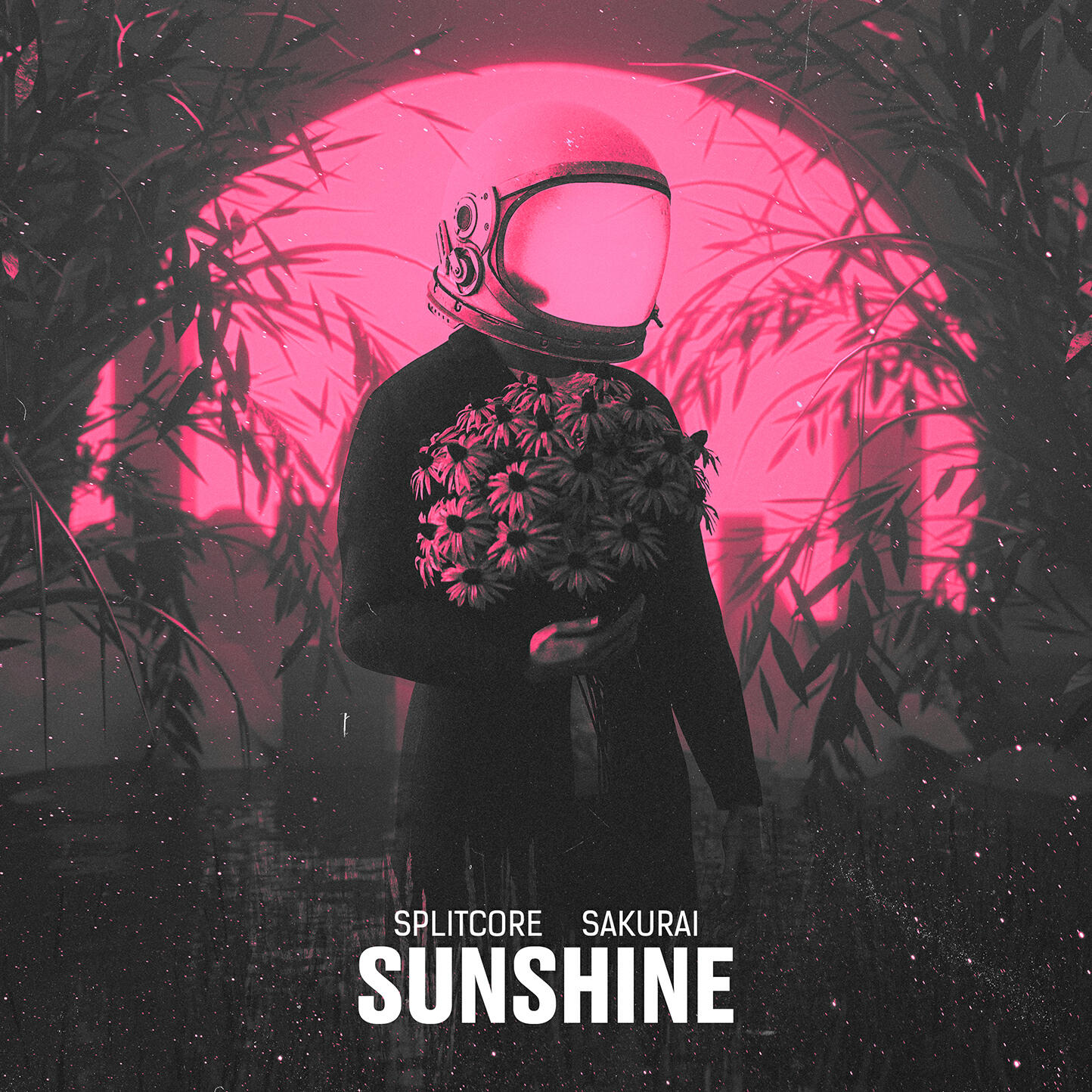 Релиз Sunshine