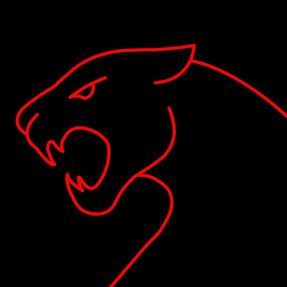 Релиз Project Cougar