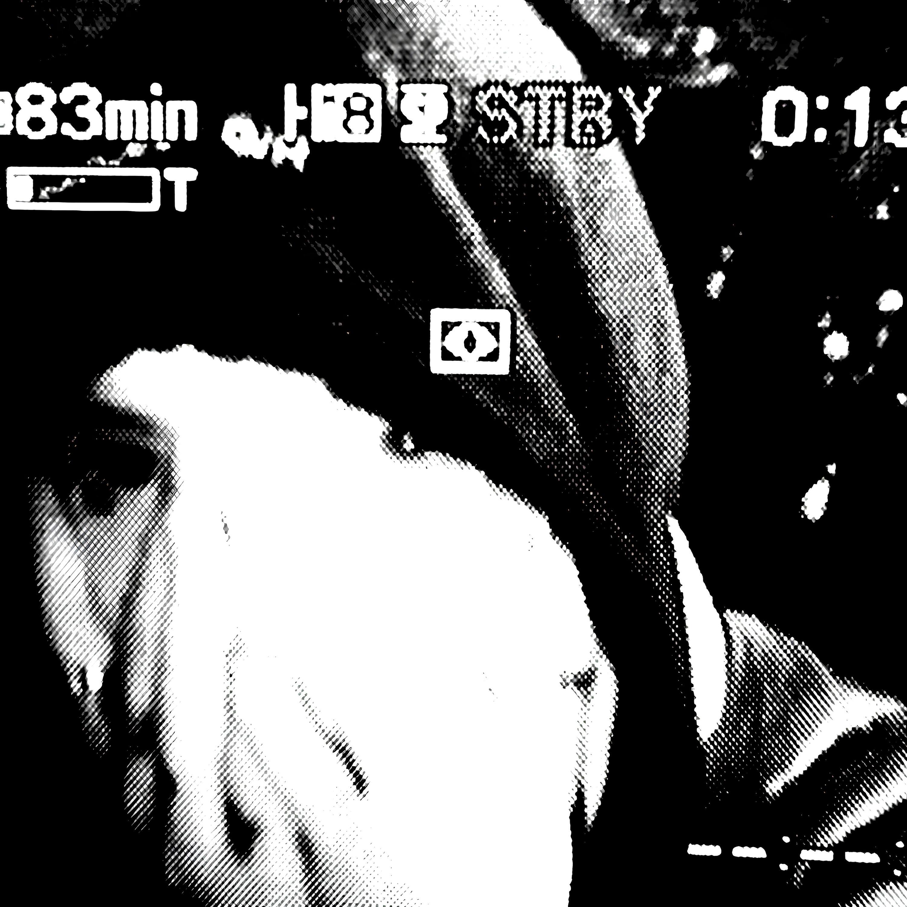 Релиз INSOMNIA