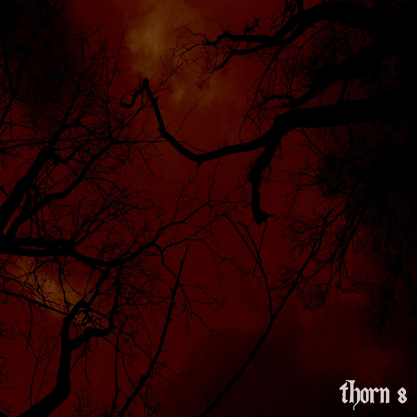 Релиз Thorn 8