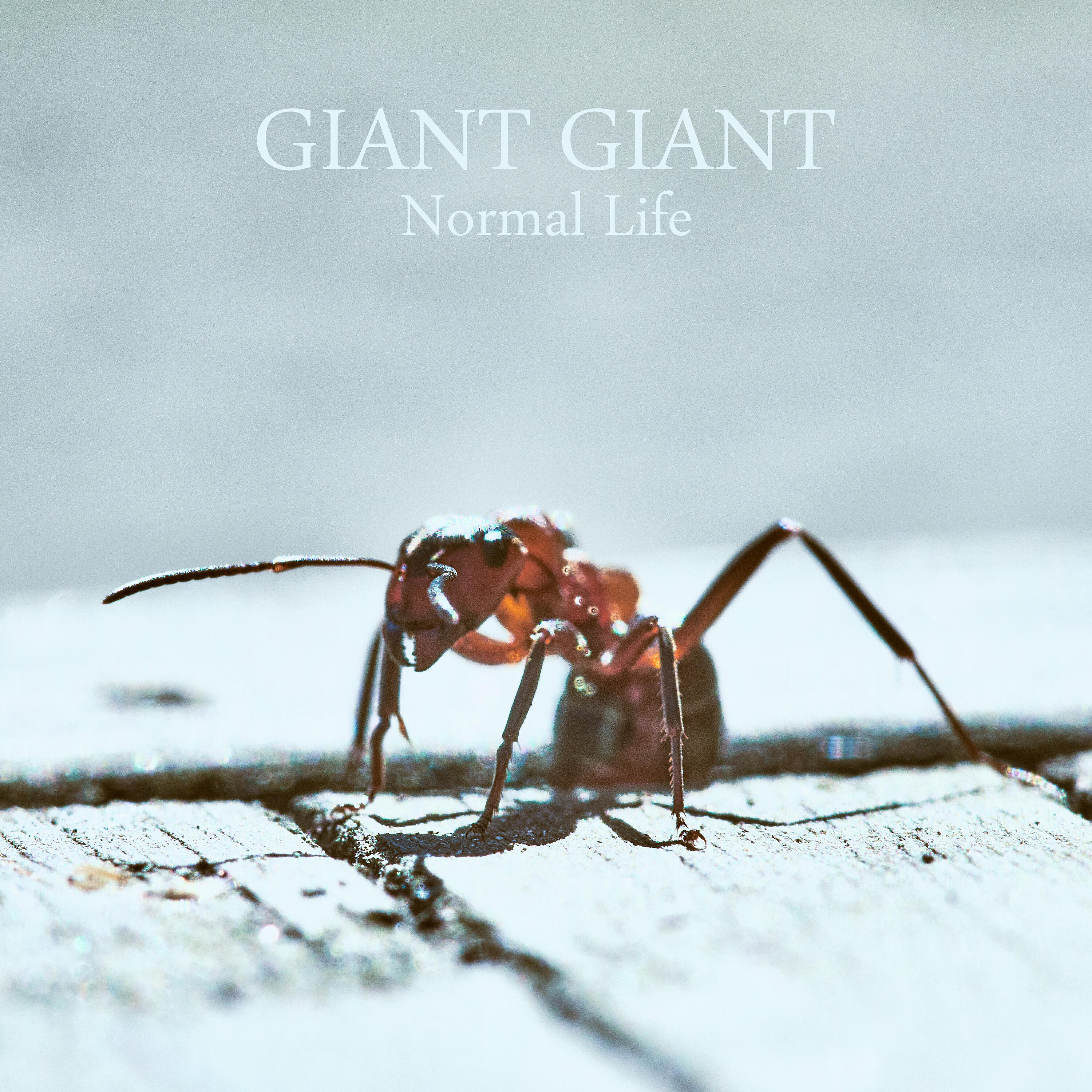 Giant Giant