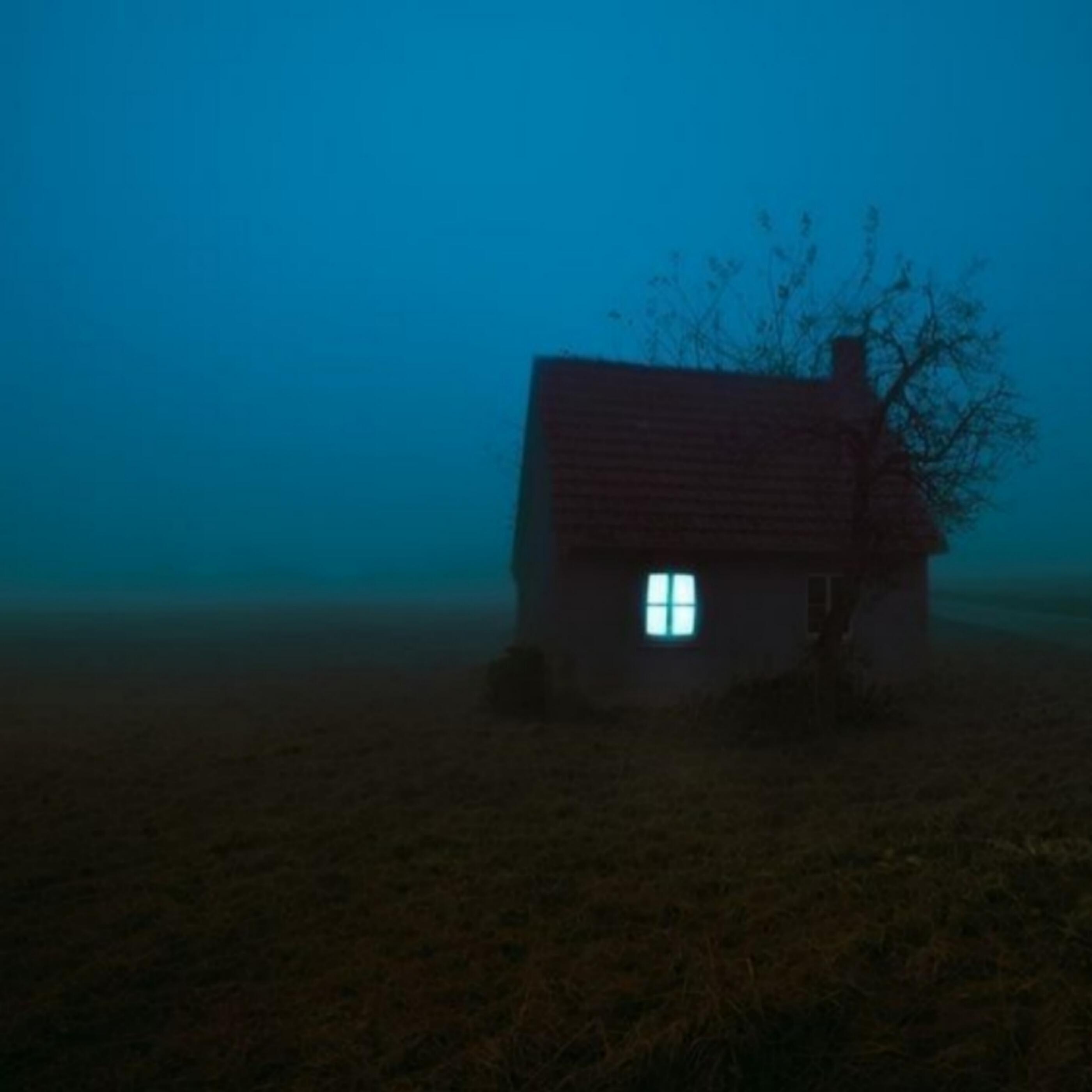 Релиз night in the forest