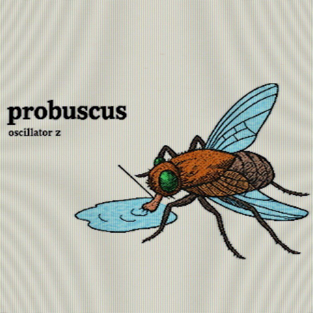 Релиз Probuscus
