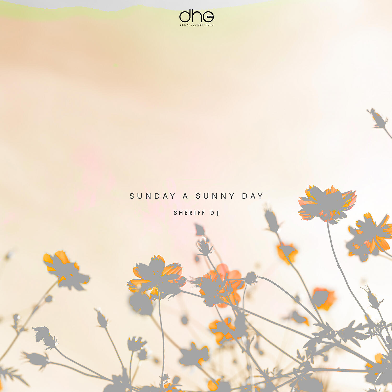 Релиз Sunday A Sunny Day