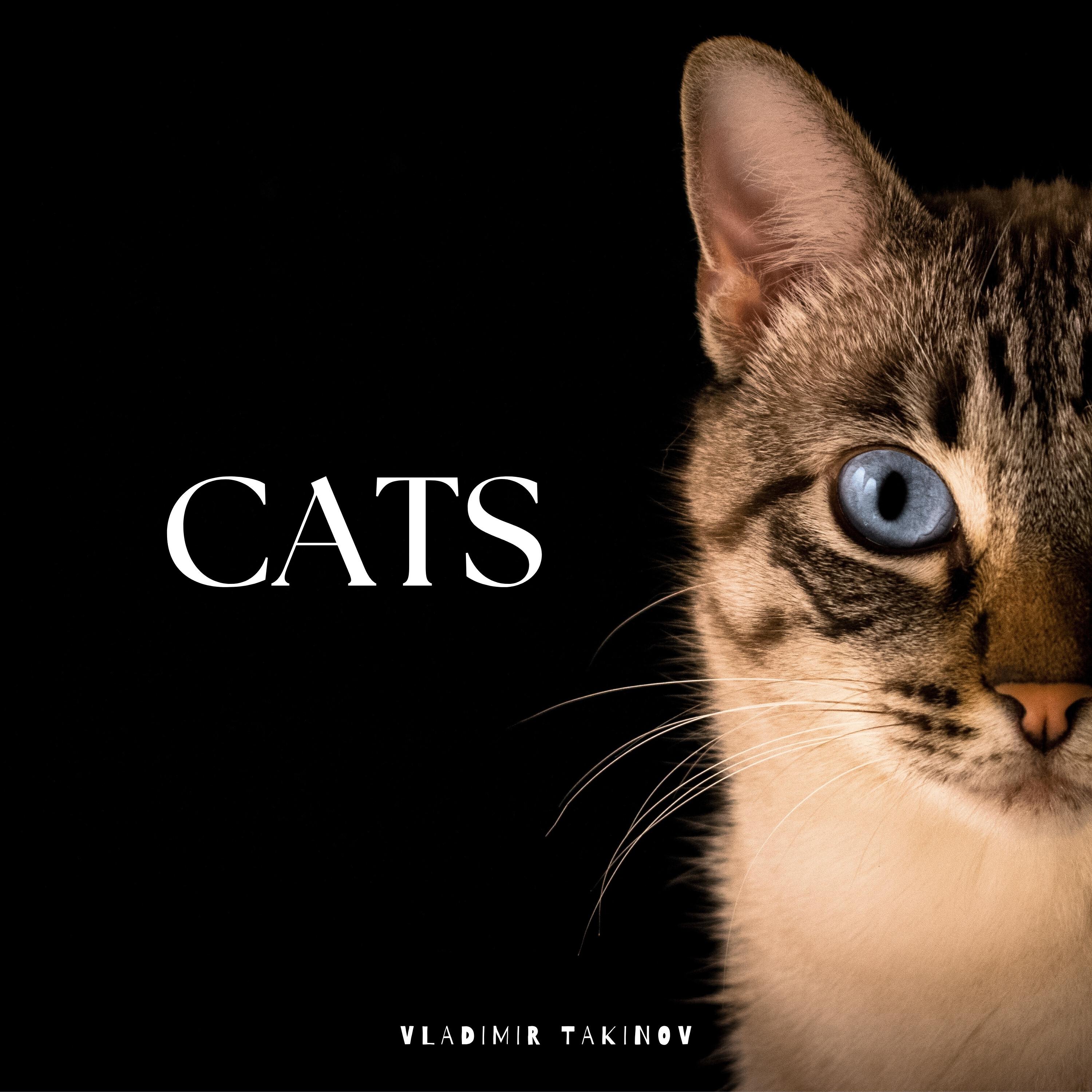 Релиз Cats