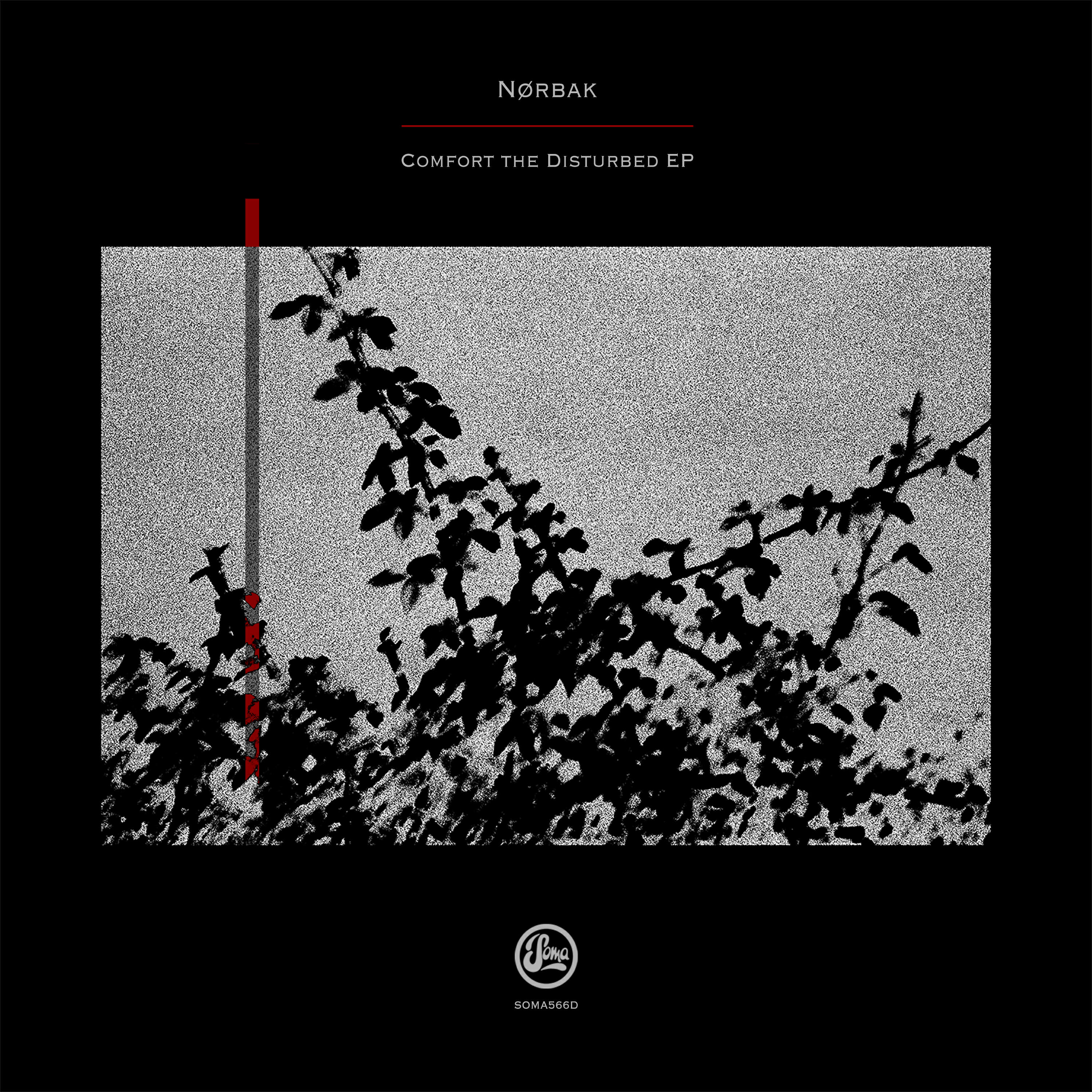 Релиз Comfort The Disturbed EP