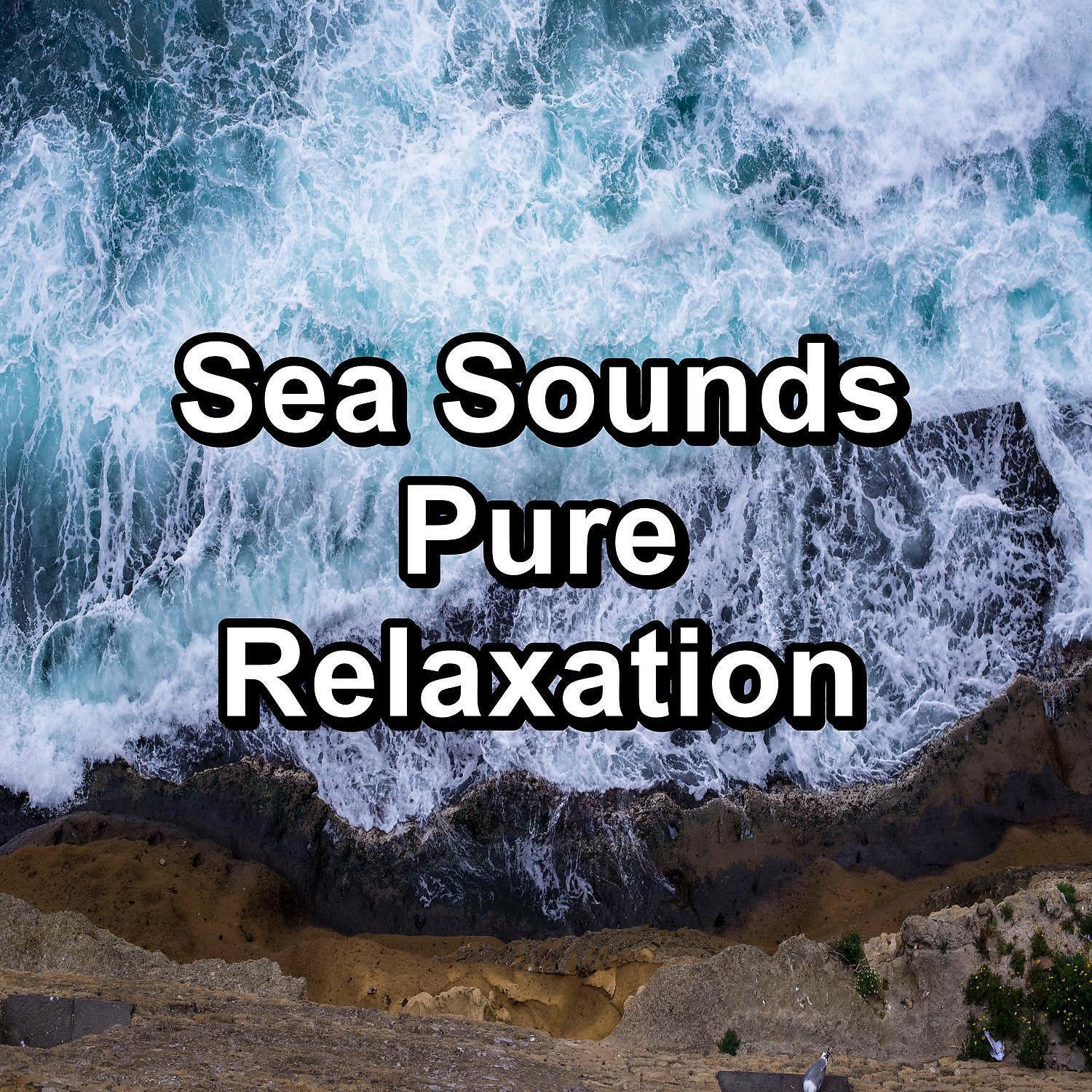 Релиз Sea Sounds Pure Relaxation