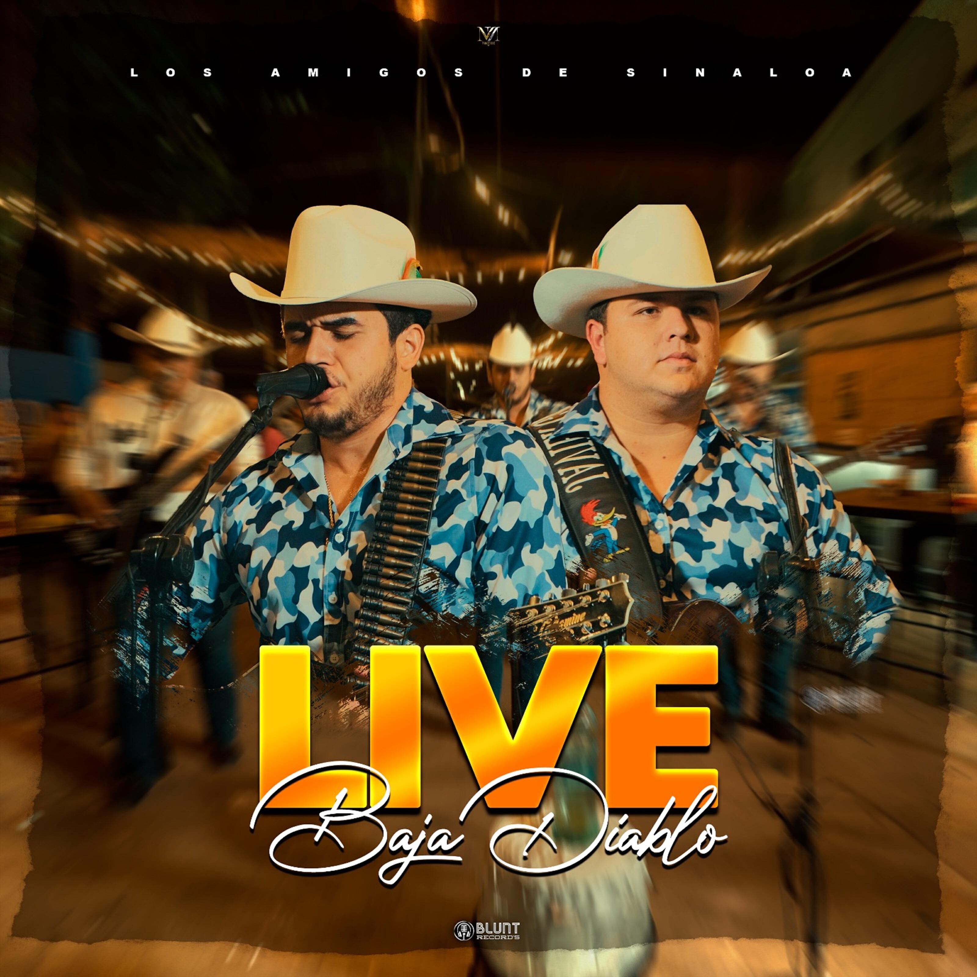 Los Amigos de Sinaloa