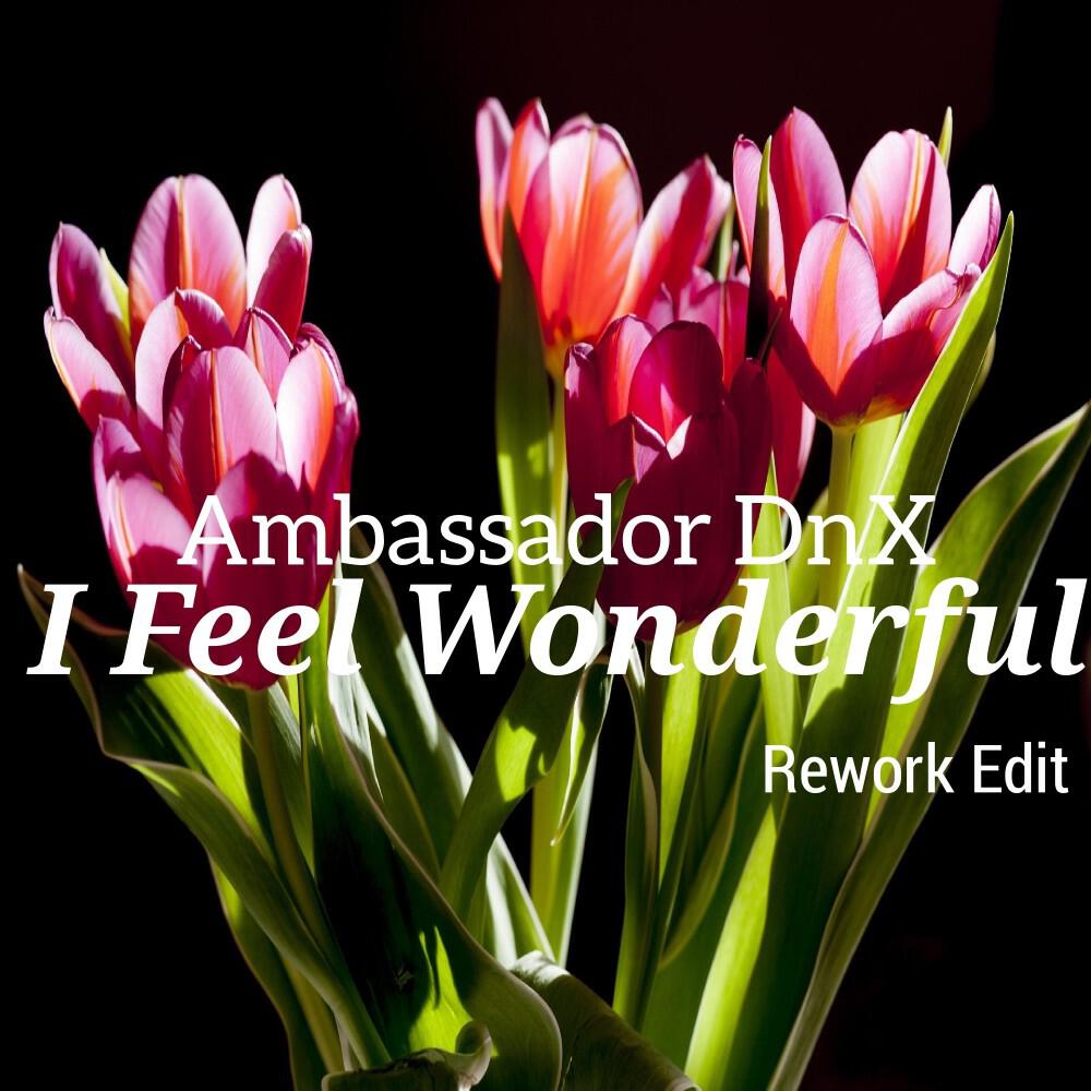 Релиз I Feel Wonderful (Rework Edit)