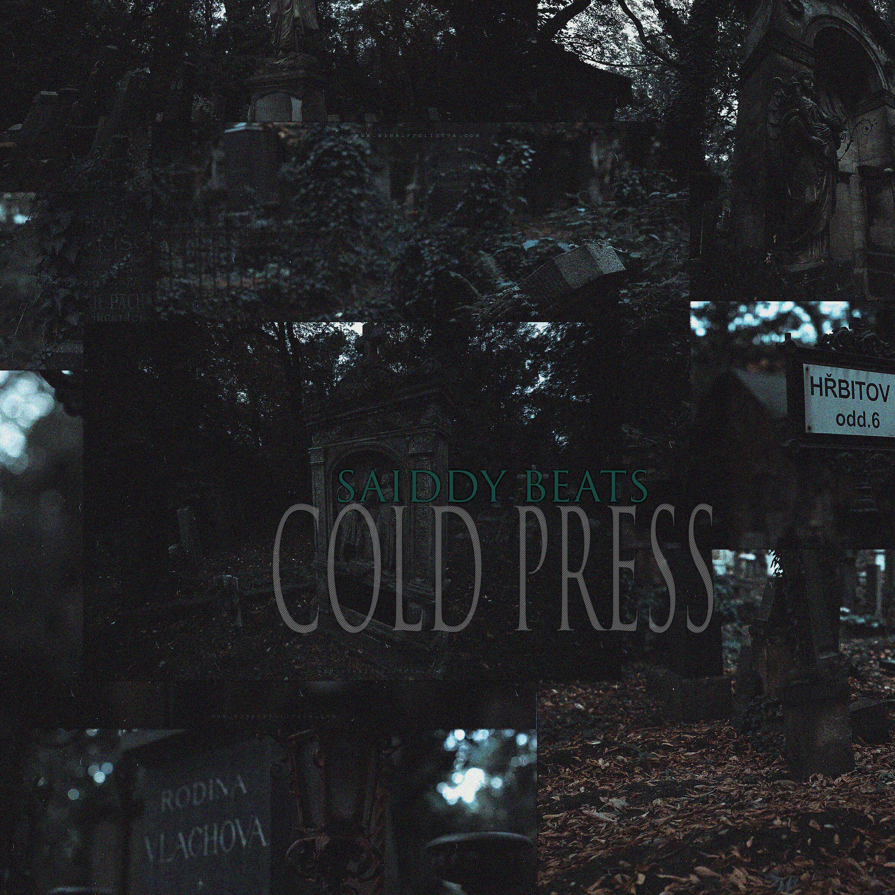 Релиз Cold Press