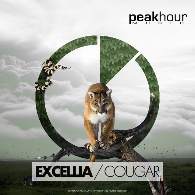 Релиз Cougar