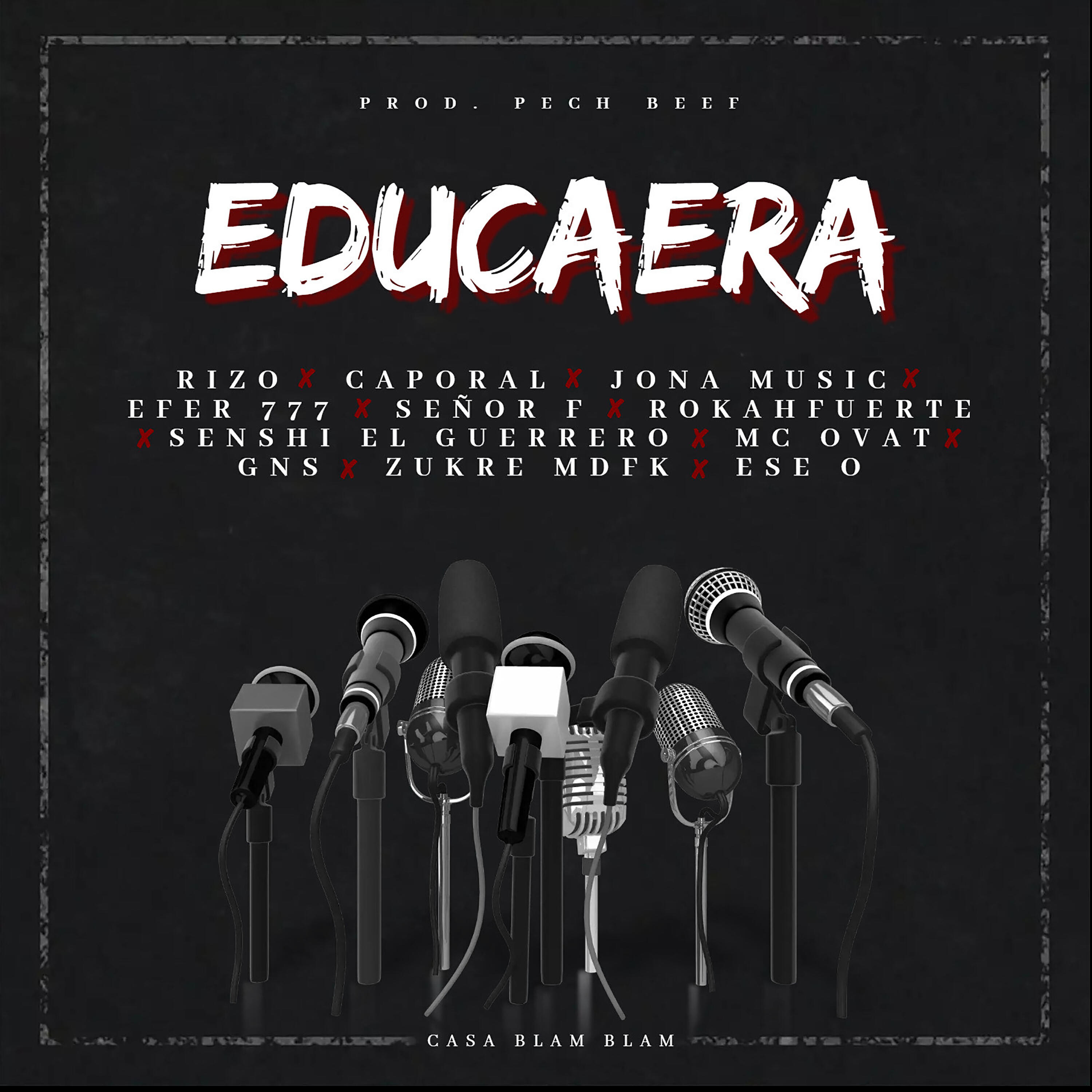 Релиз Educaera