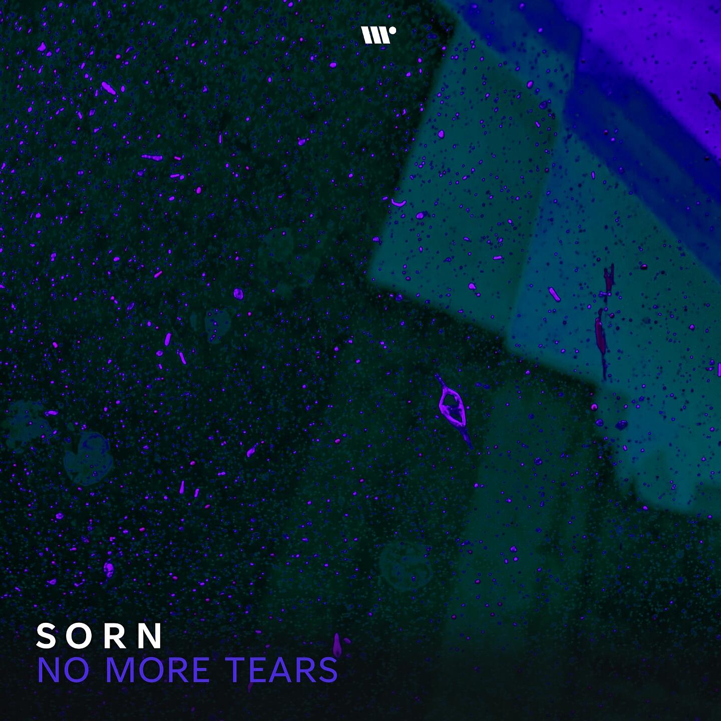 Релиз No More Tears
