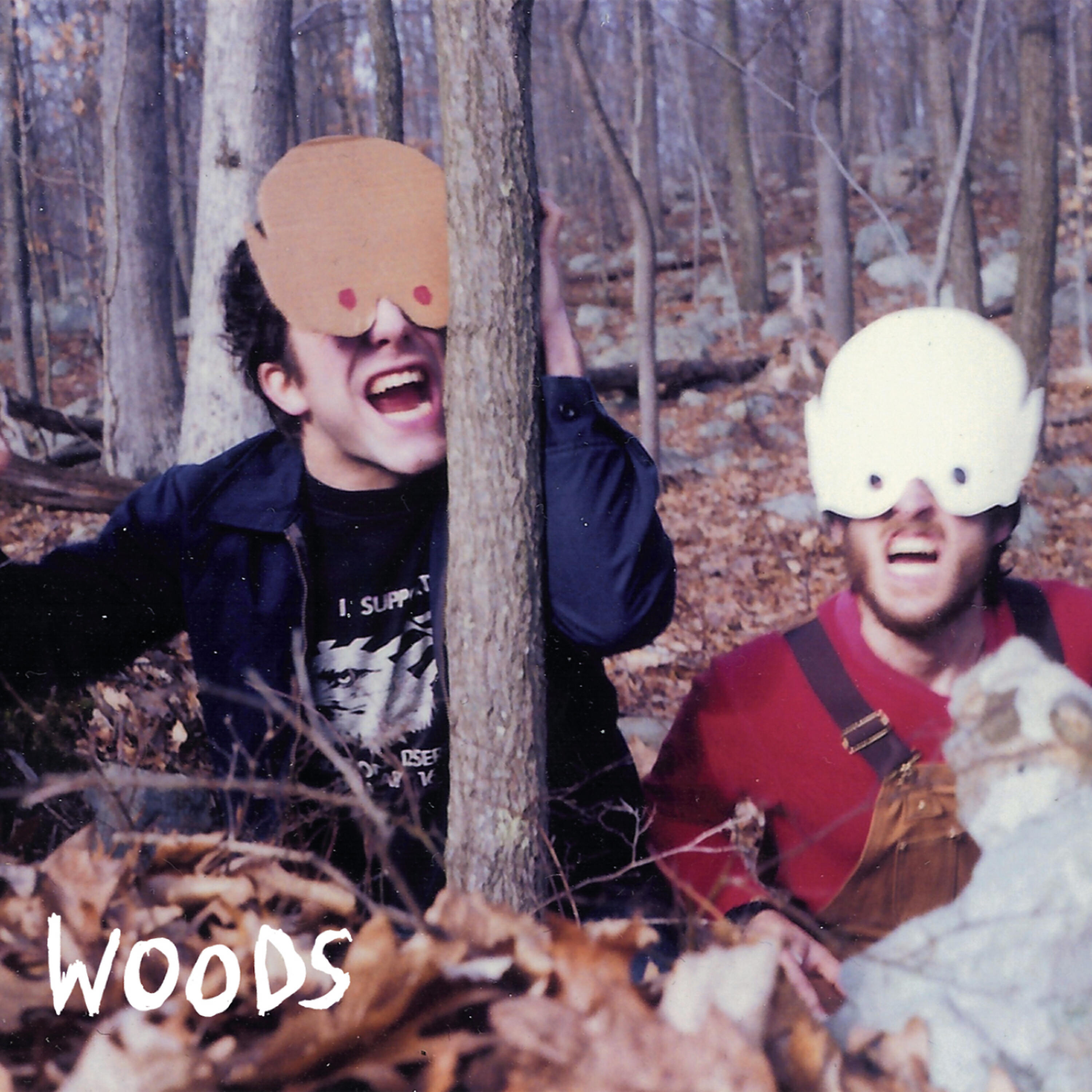 Релиз How to Survive In + In The Woods