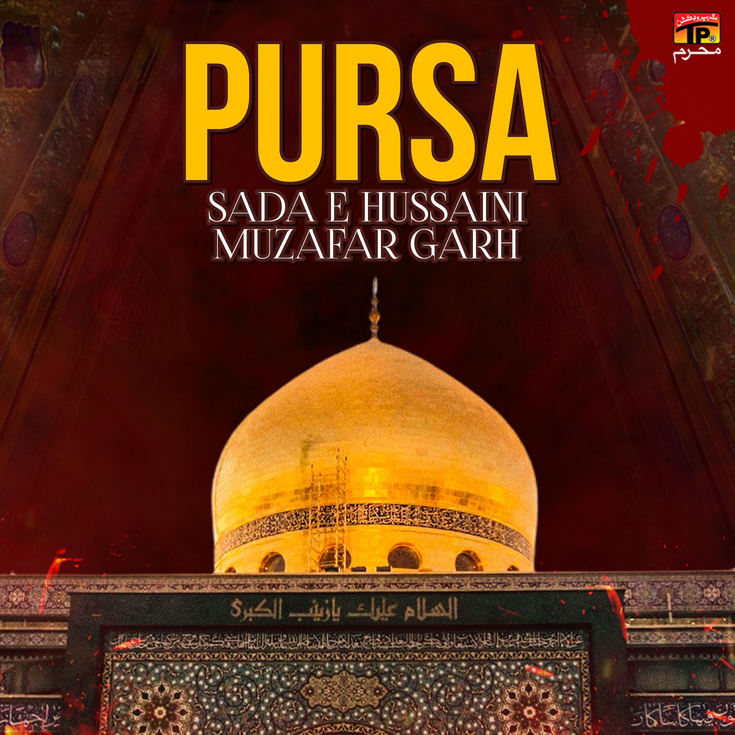 Релиз Pursa