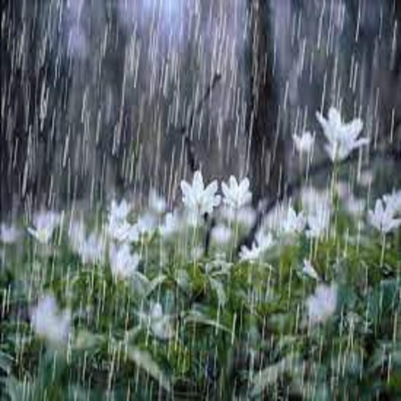 Sleepy Time Rainfall