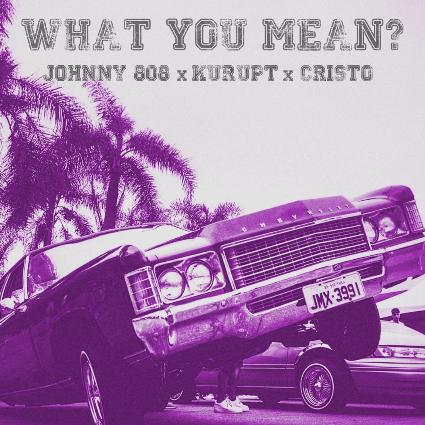 Релиз What U Mean (feat. Kurupt & Cristo)