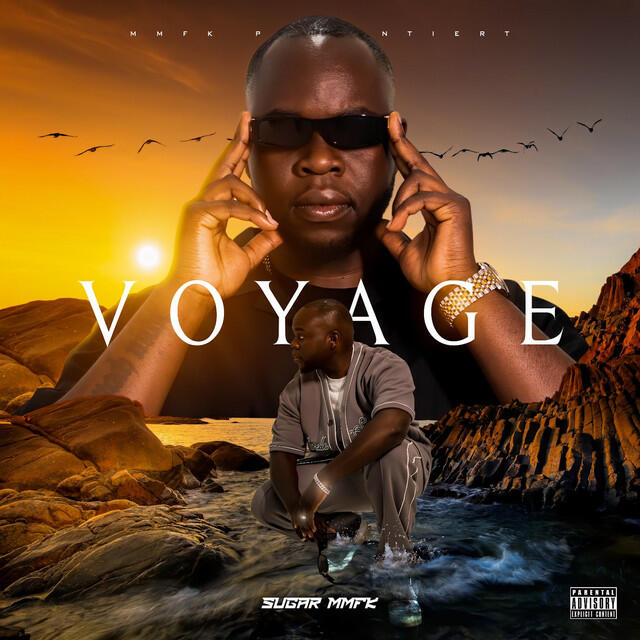 Релиз Voyage