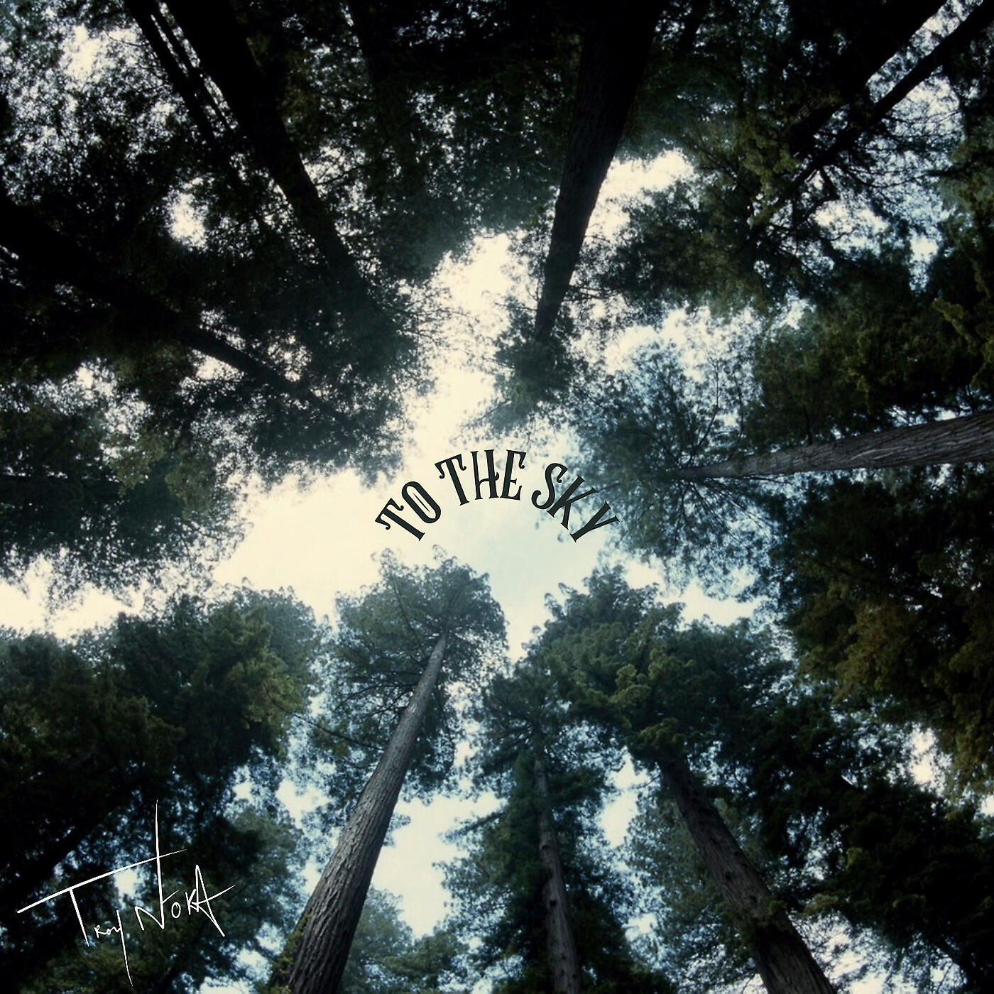 Релиз To the Sky
