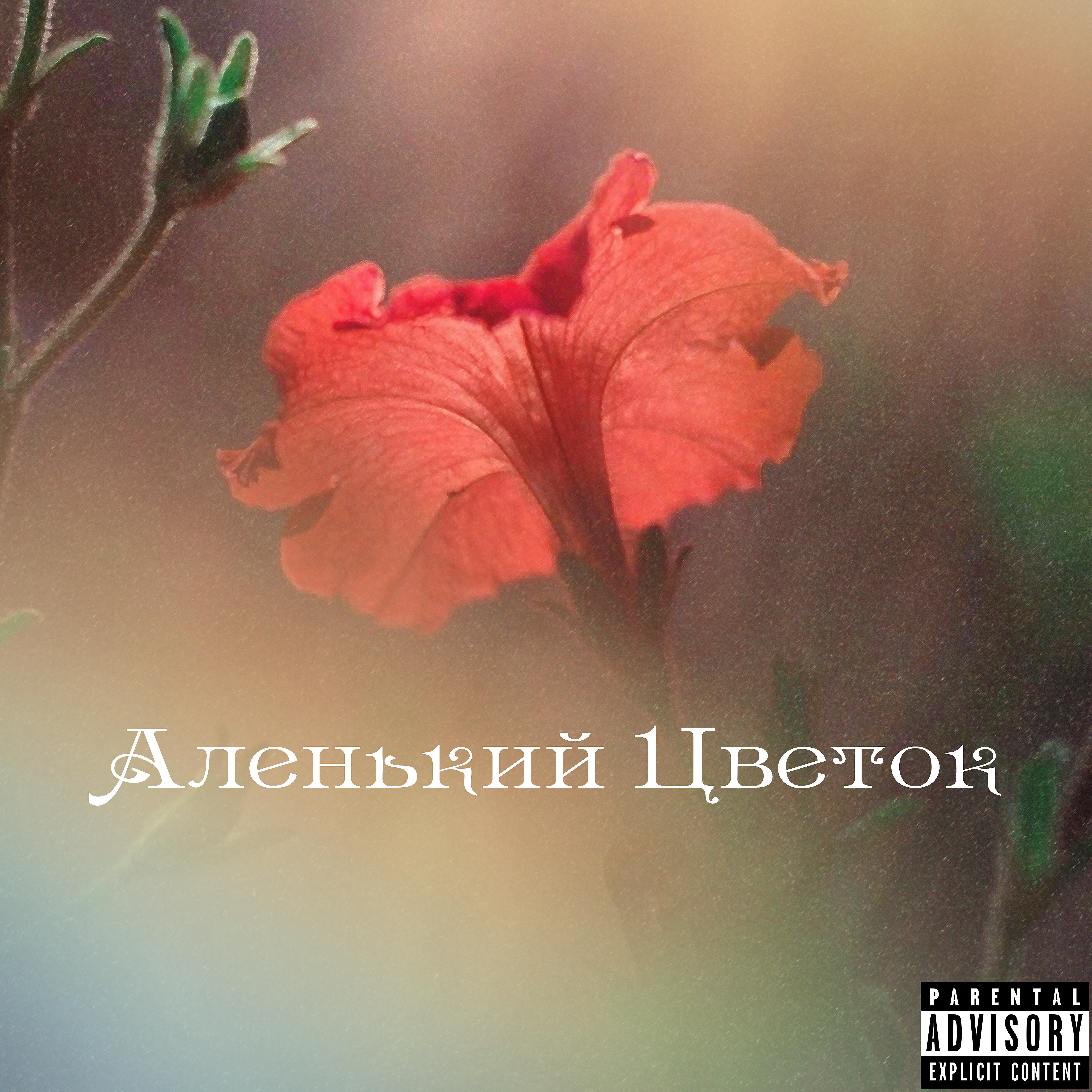 Релиз Аленький цветок