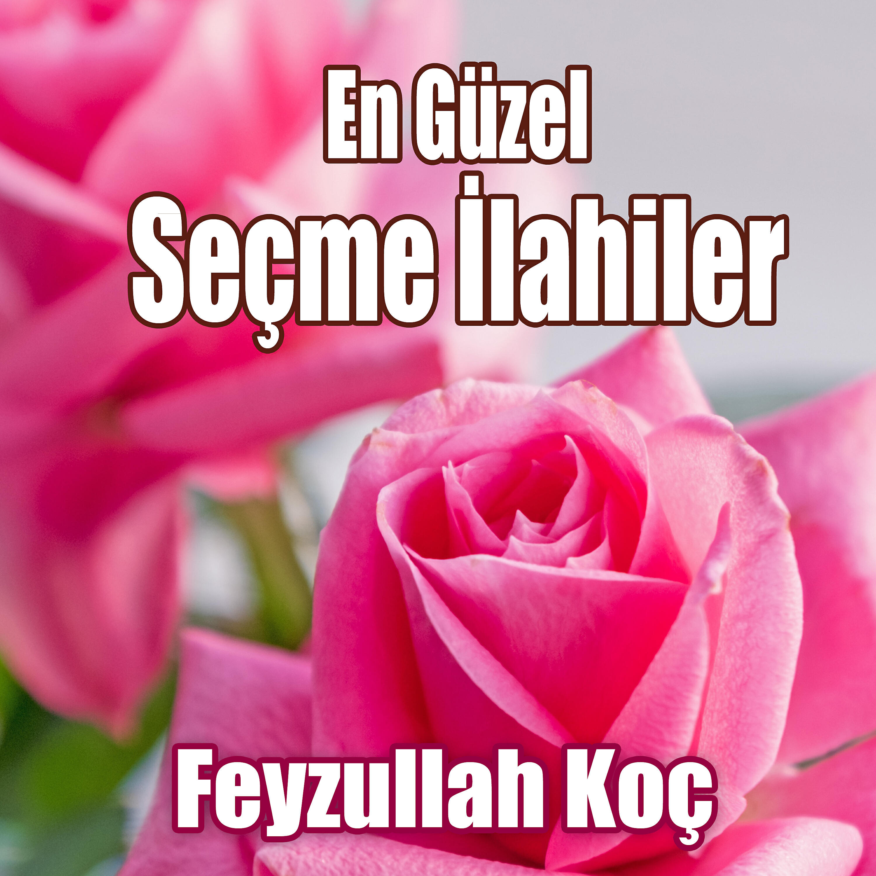 Релиз En Güzel Seçme İlahiler