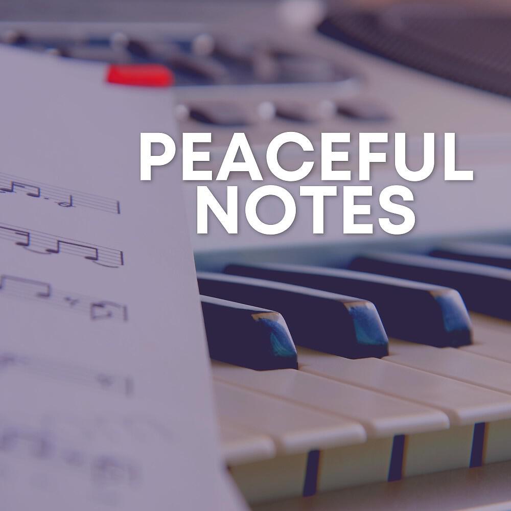 Релиз Peaceful Notes