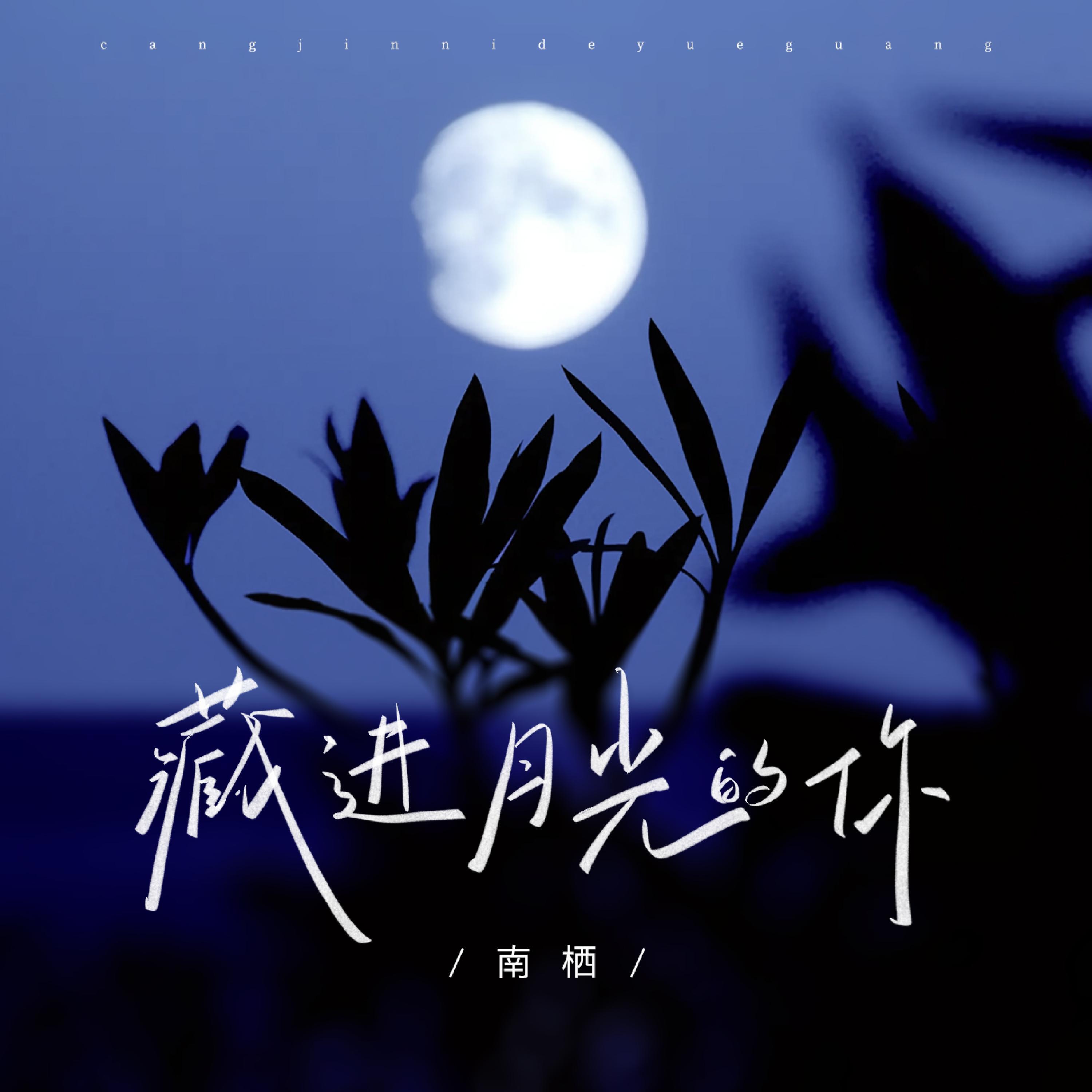 Релиз 藏进月光的你