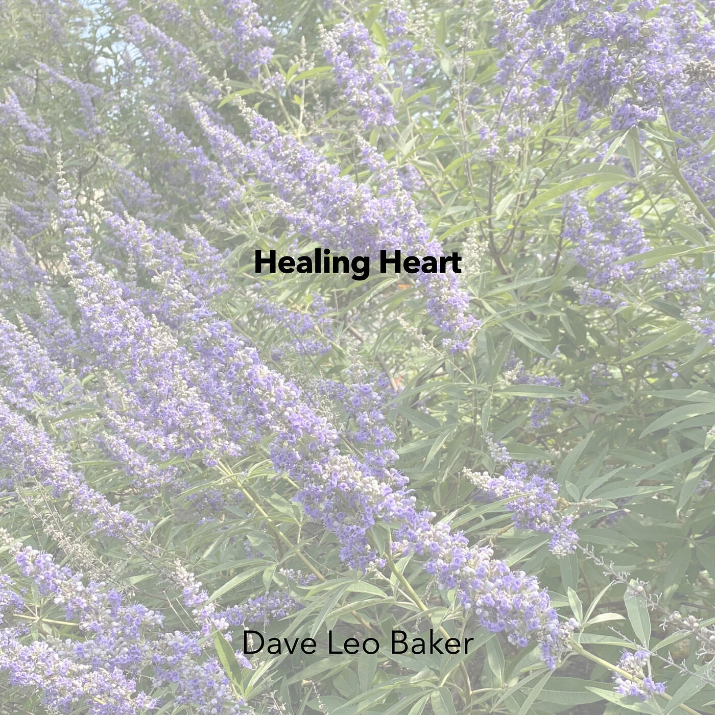 Dave Leo Baker