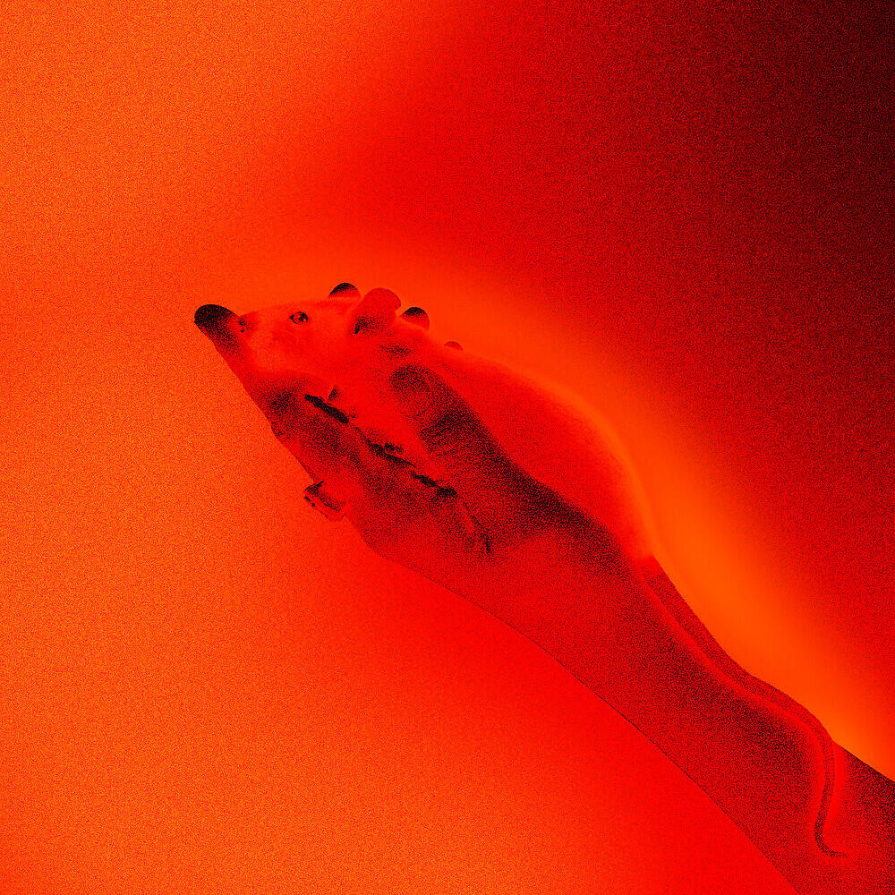 Релиз Como Arde