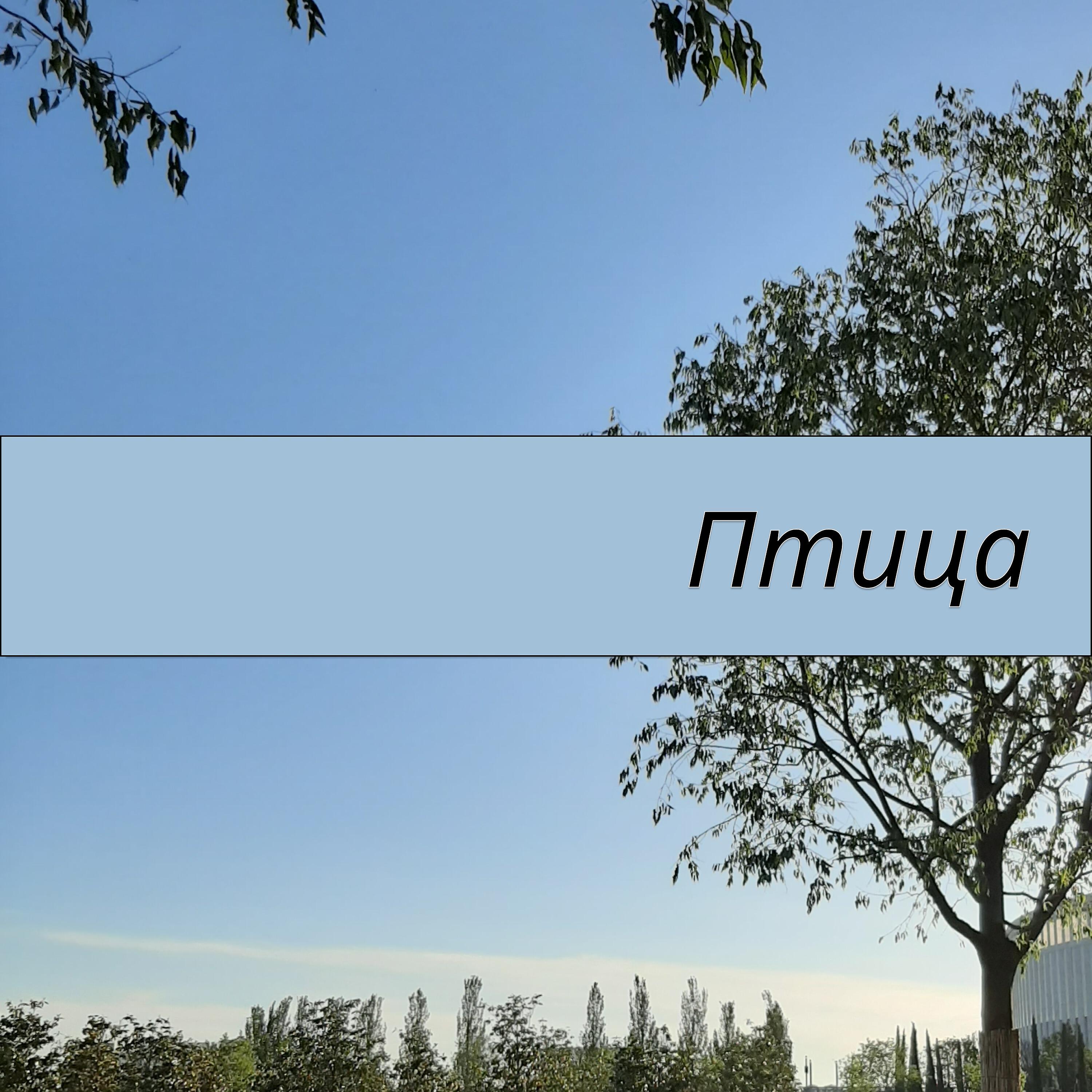 Релиз Птица