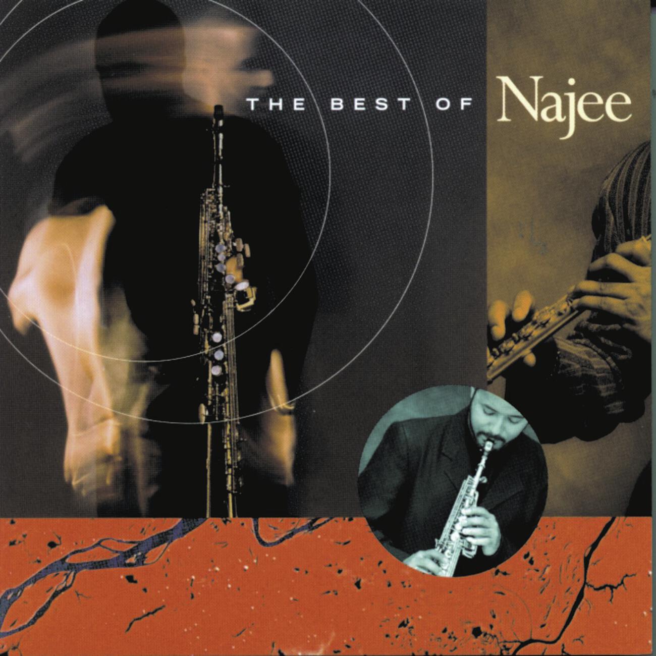 Скачать песню Najee - Can't Hide Love бесплатно в MP3 для Android и iOS