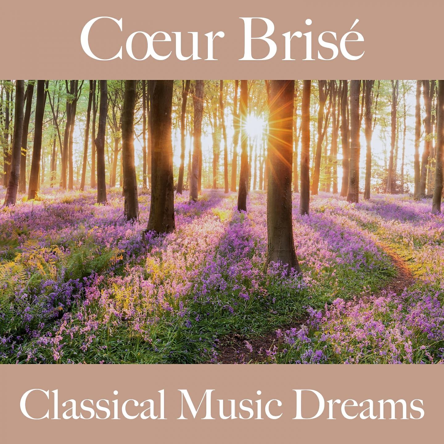 Релиз Cœur Brisé: Classical Music Dreams - La Meilleure Musique Pour Se Sentir Mieux