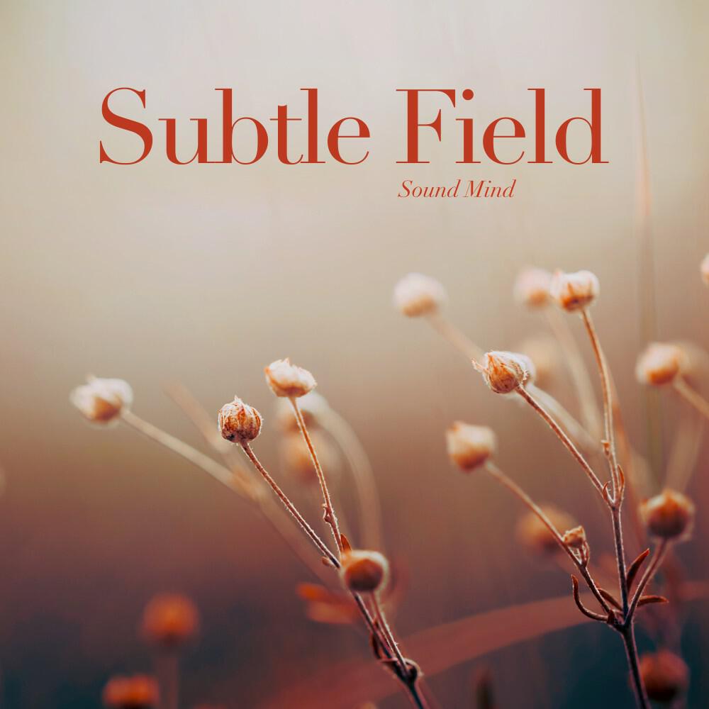 Релиз Subtle Field (Holding Space for What Remains)